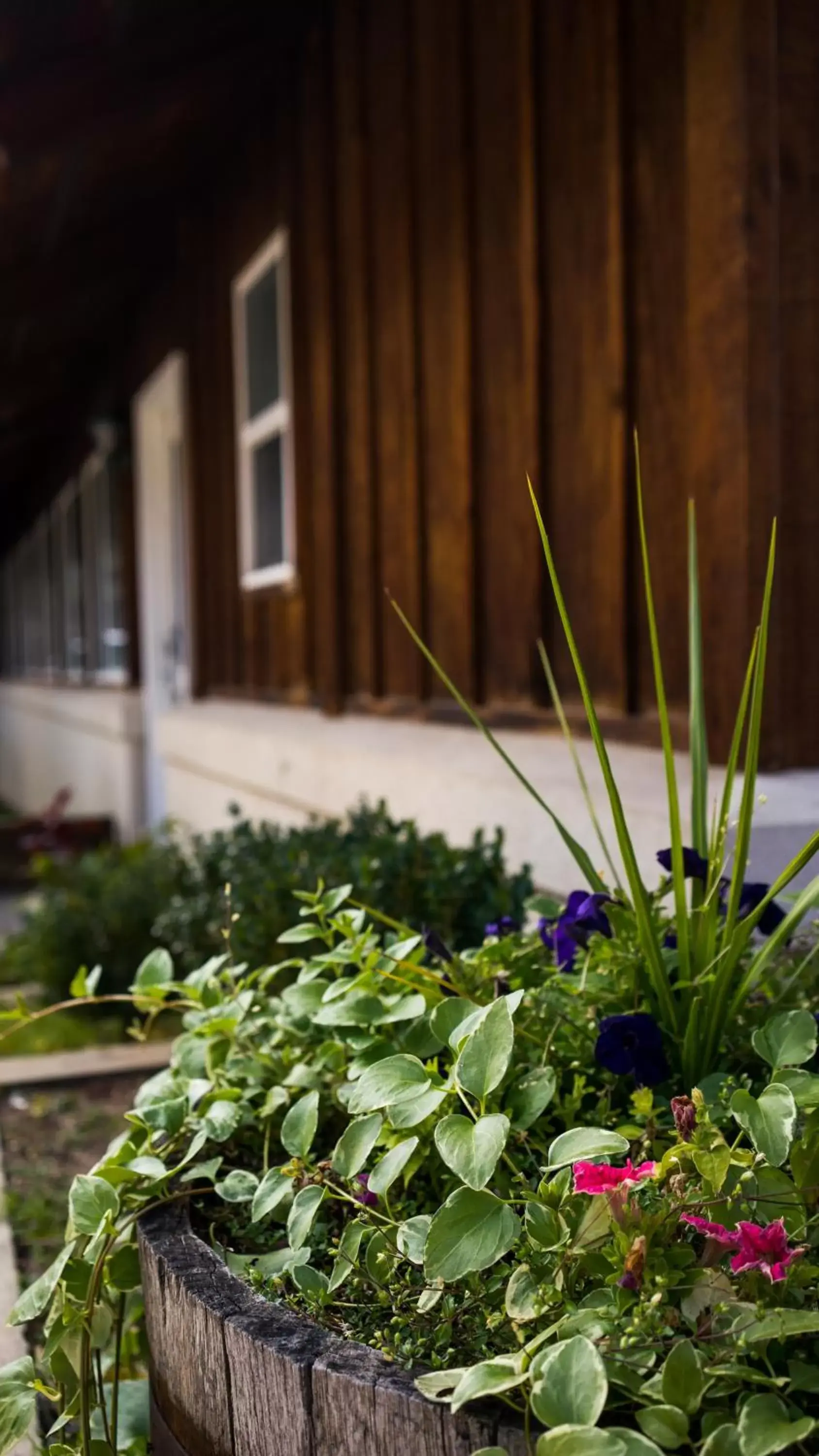 Patio in Appenzell Inn