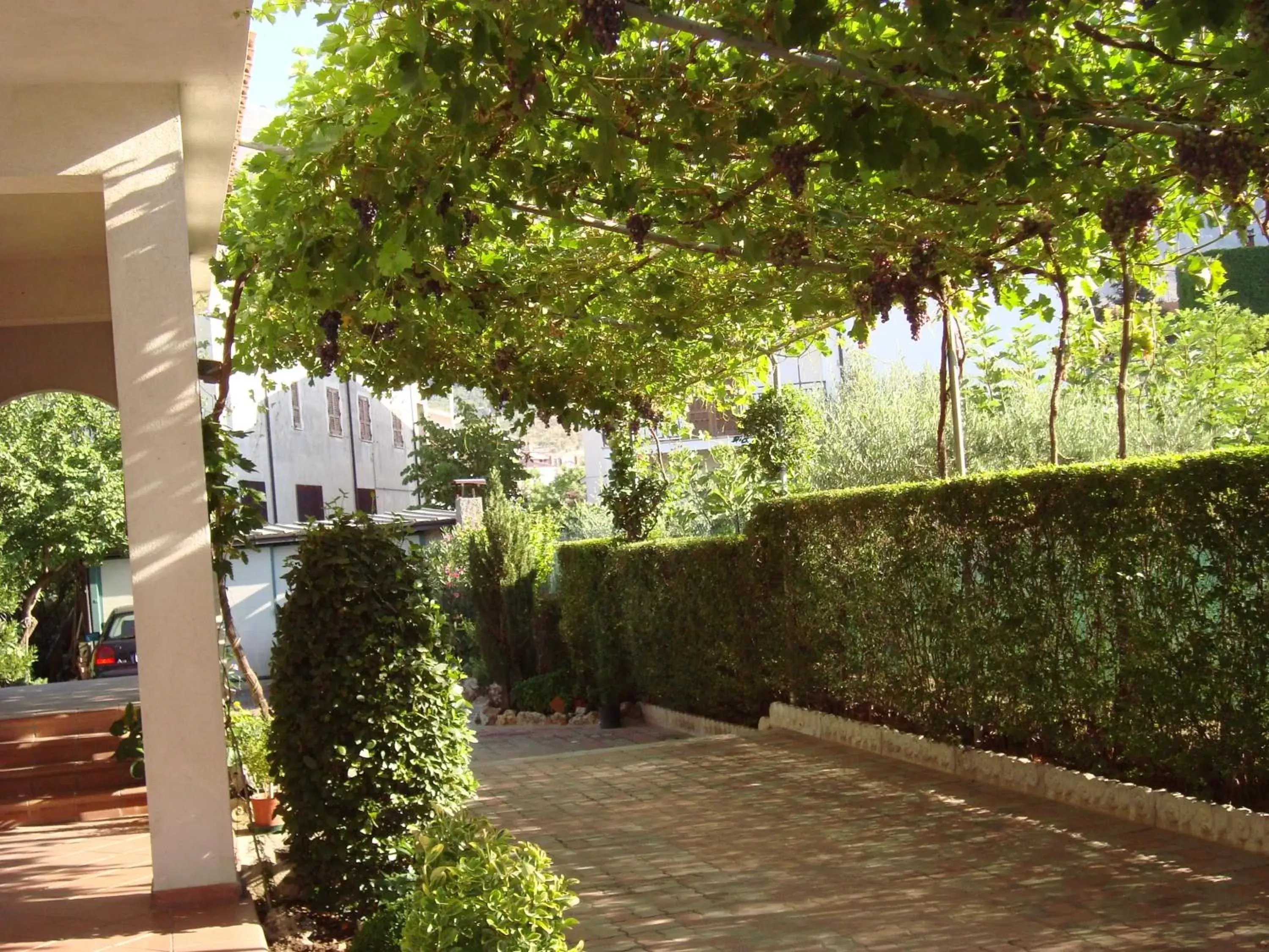 Facade/entrance, Garden in B&B Esperança