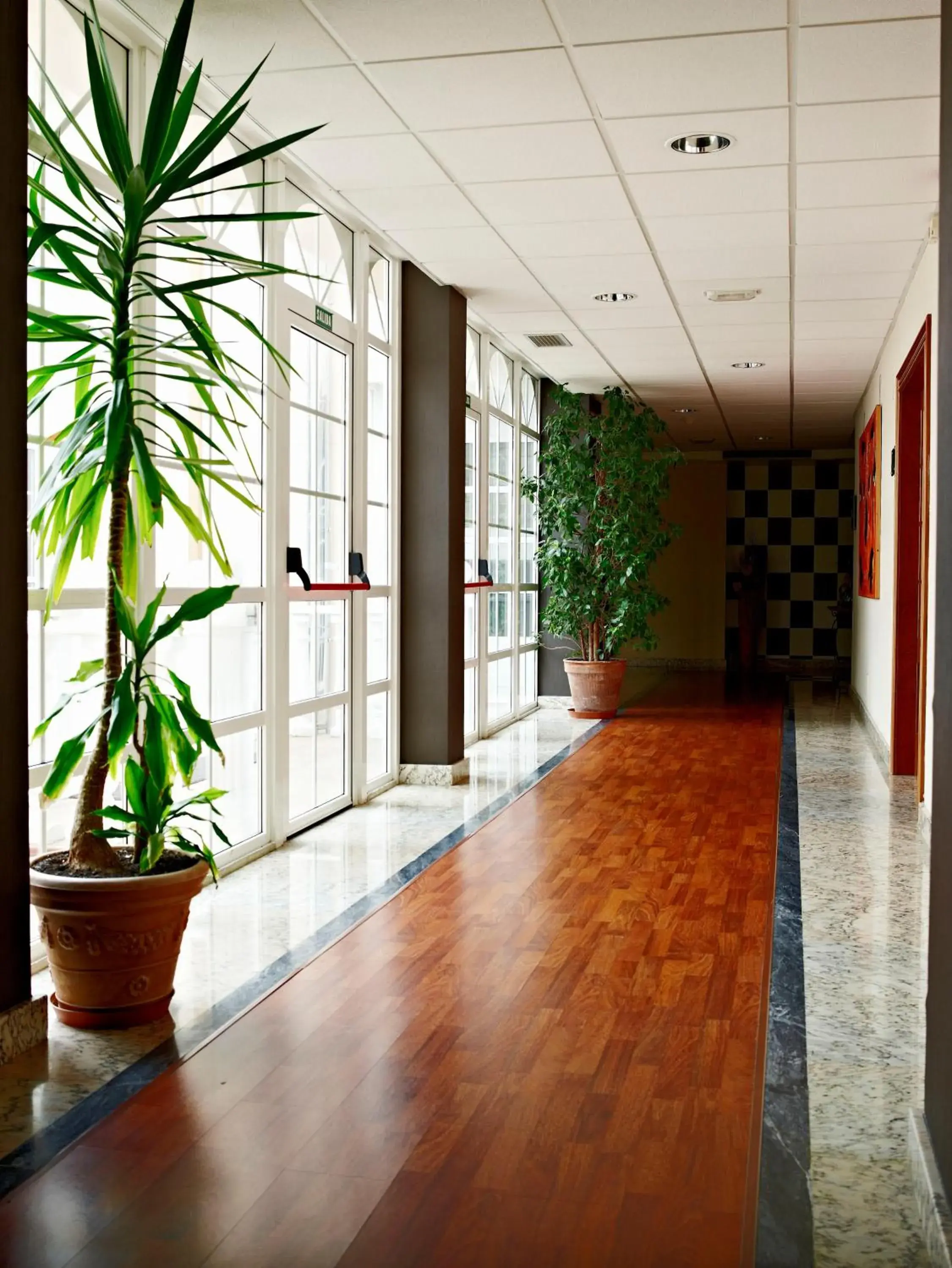 Area and facilities, Lobby/Reception in Hotel Castro