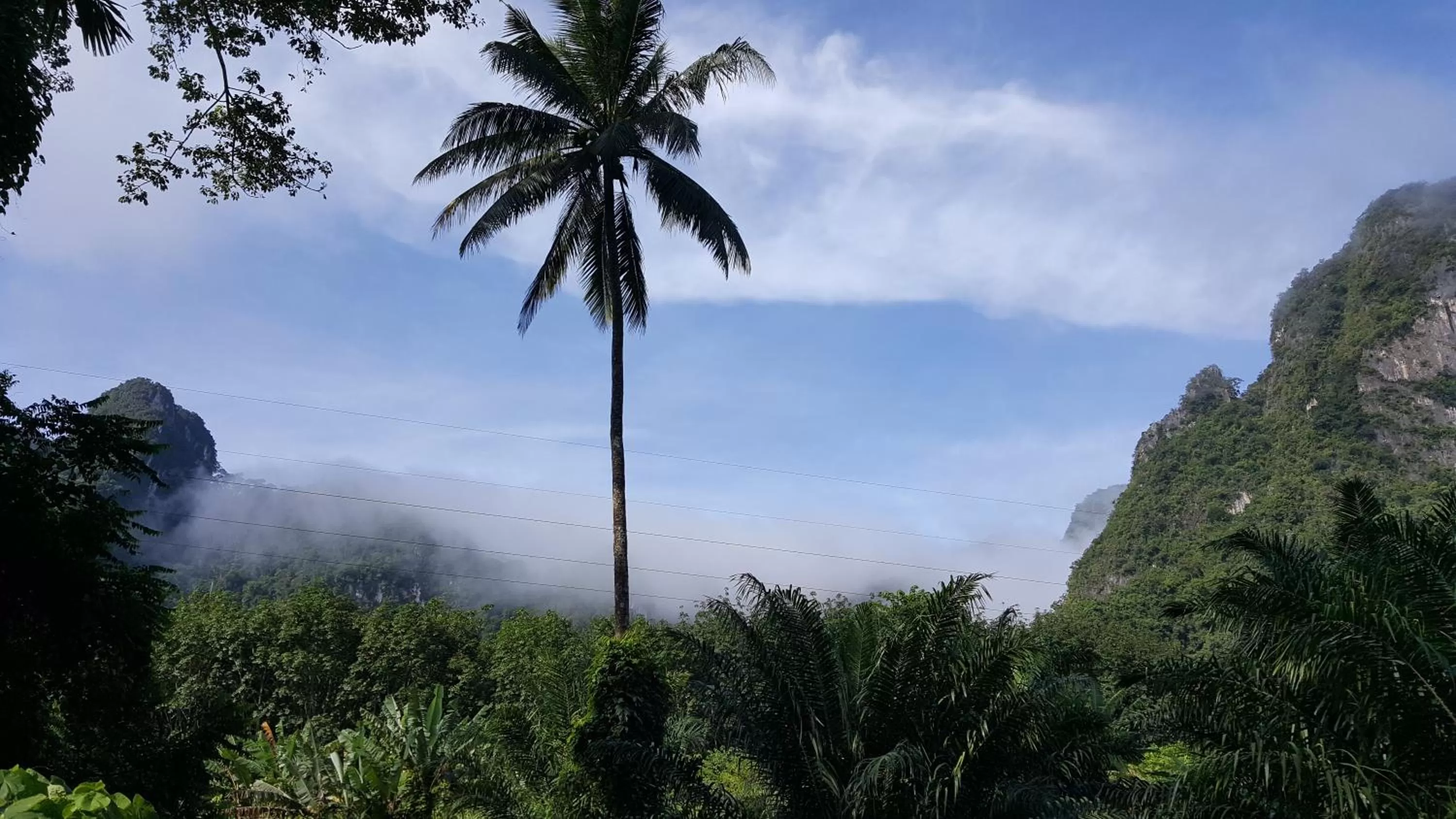 Off site in Khao Sok Jungle Huts Resort