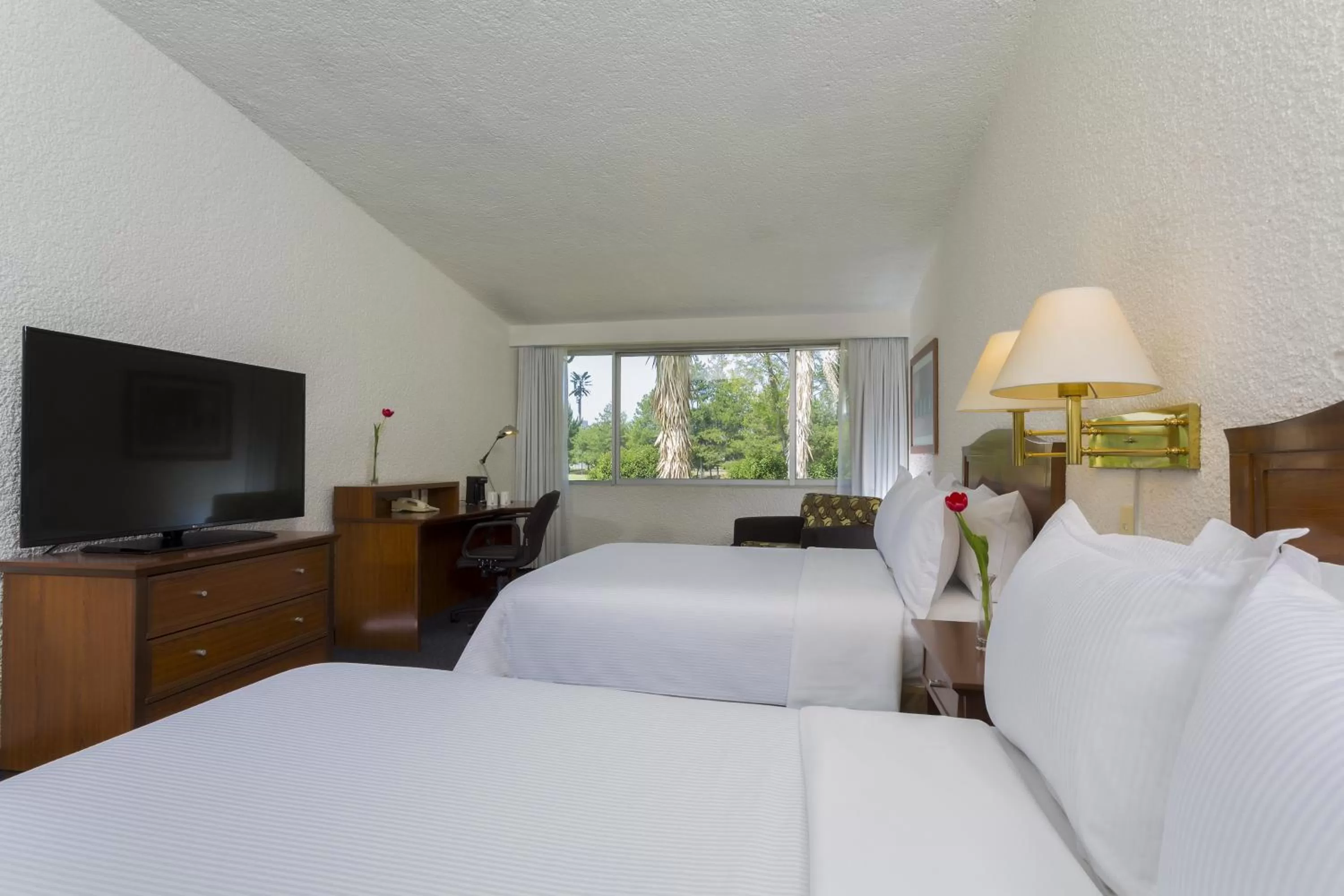 Photo of the whole room, Bed in Gamma Pachuca