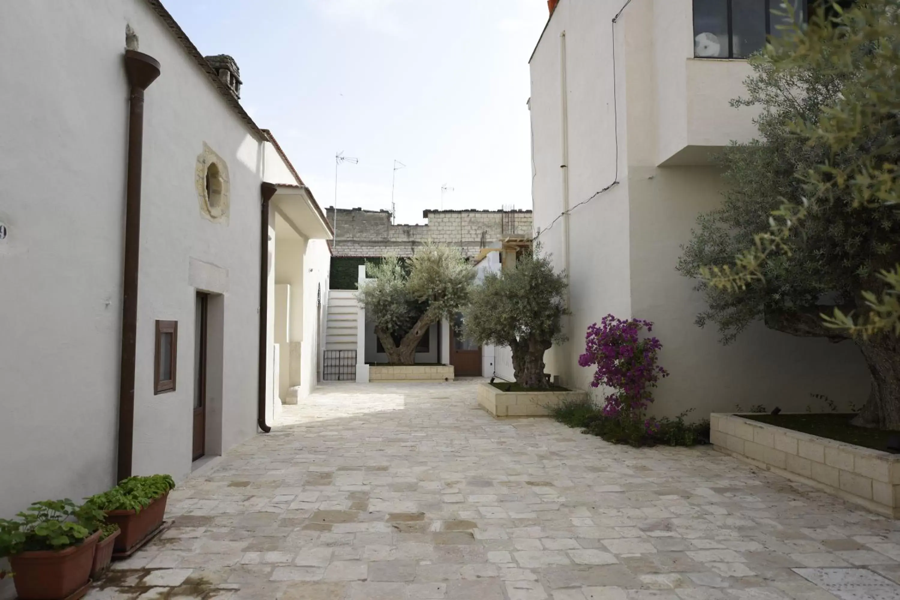 Inner courtyard view in GAPO Rooms