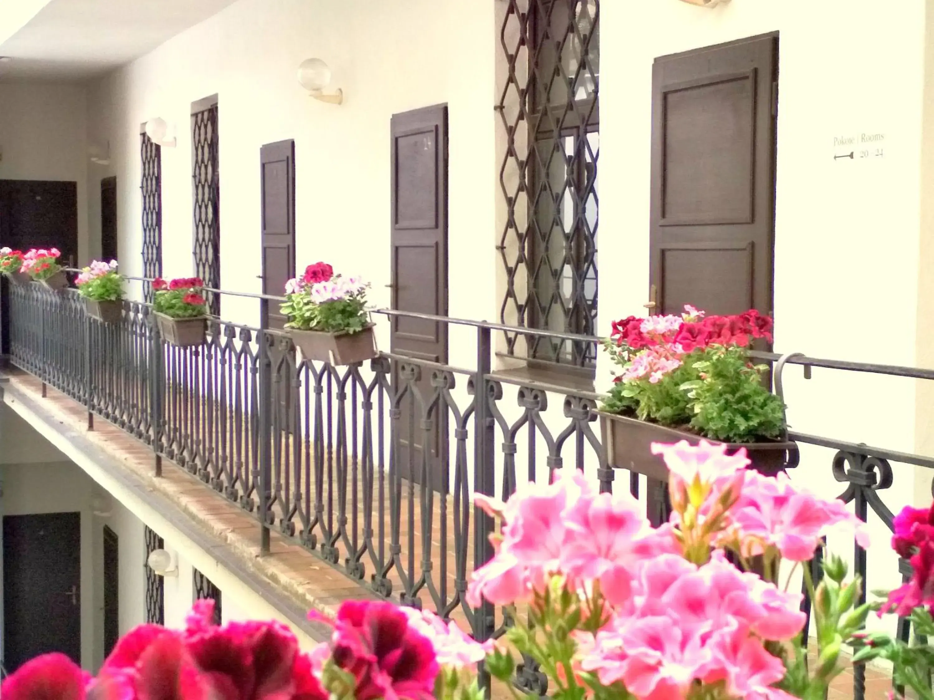 Balcony/Terrace in Hotel Amadeus