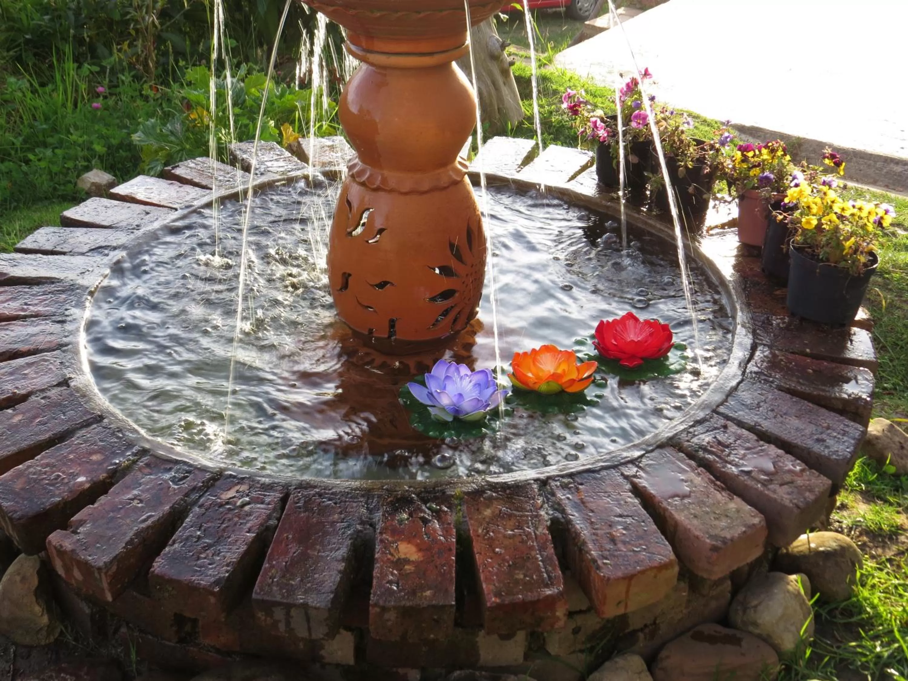Garden in El Pedregal Sopó