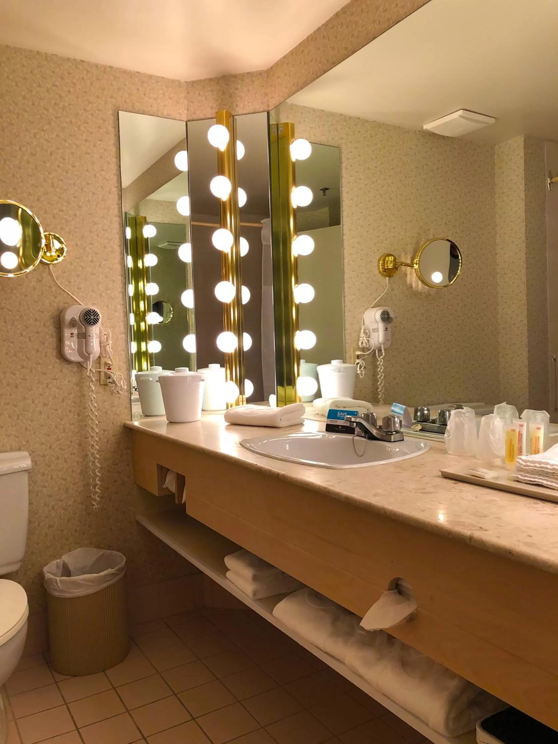 Bathroom in Hôtels Gouverneur Montréal - Île Charron