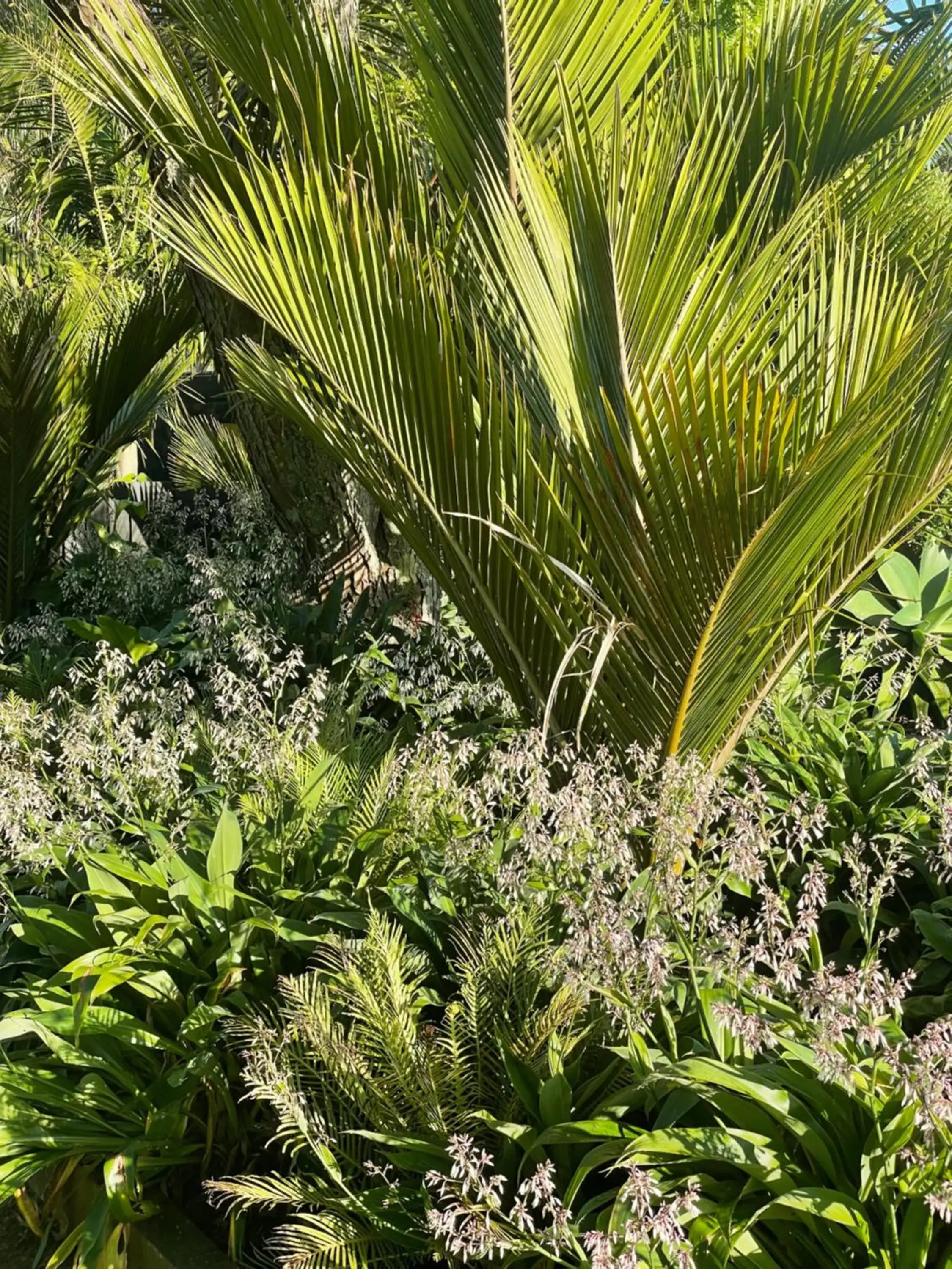 View (from property/room), Garden in Stay Kerikeri