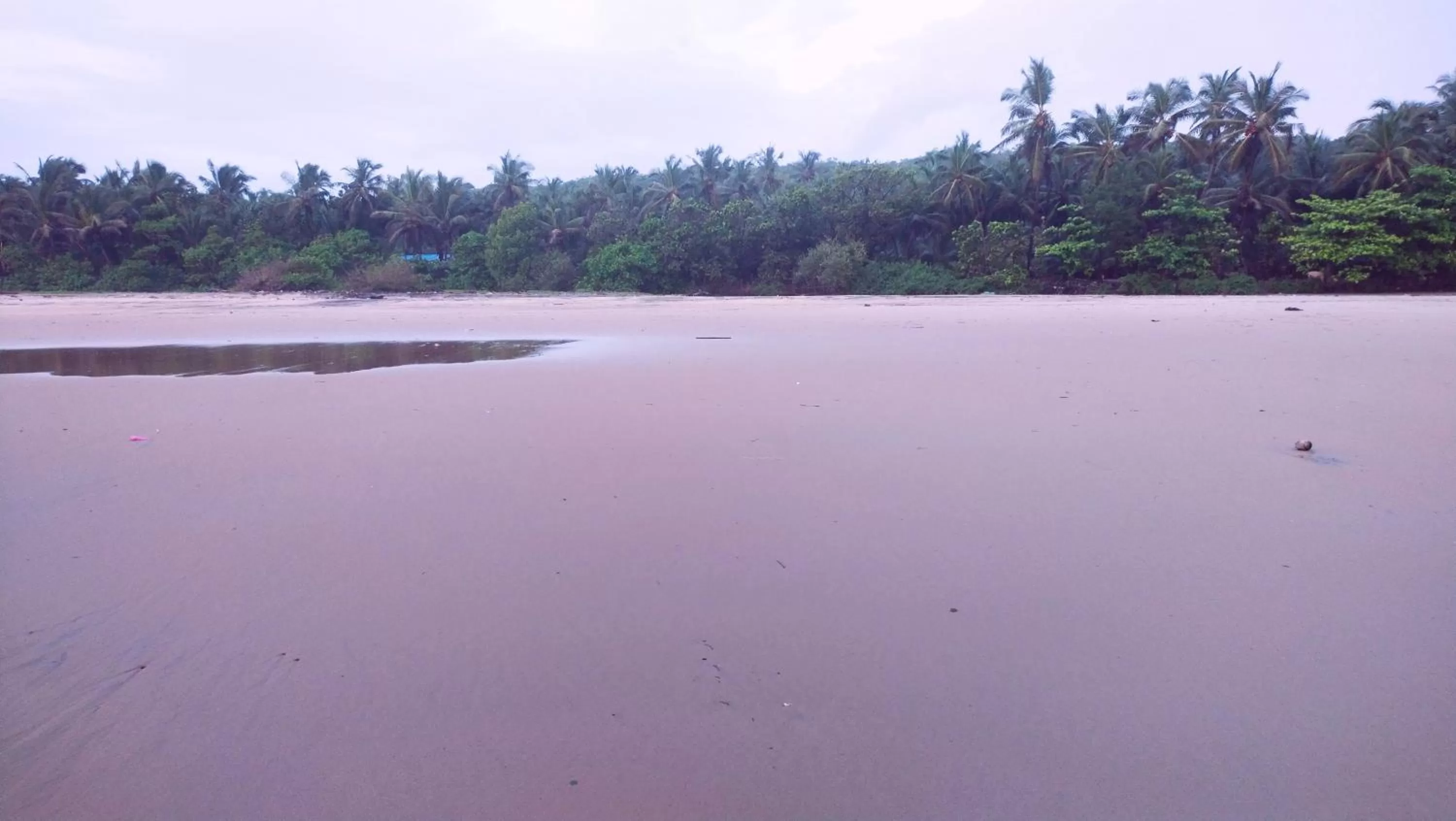 Day in Samant Beach Resort