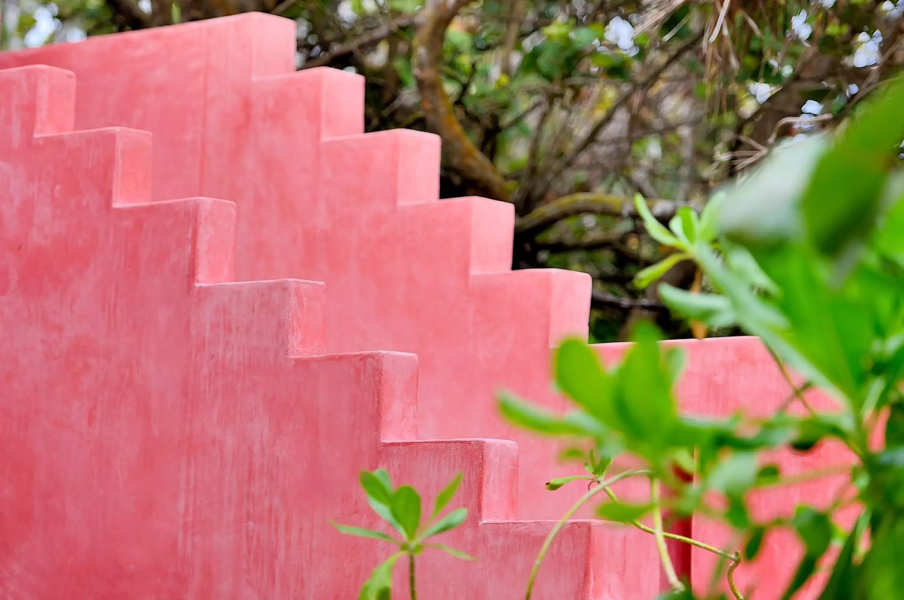 Garden in Tago Tulum by G Hotels