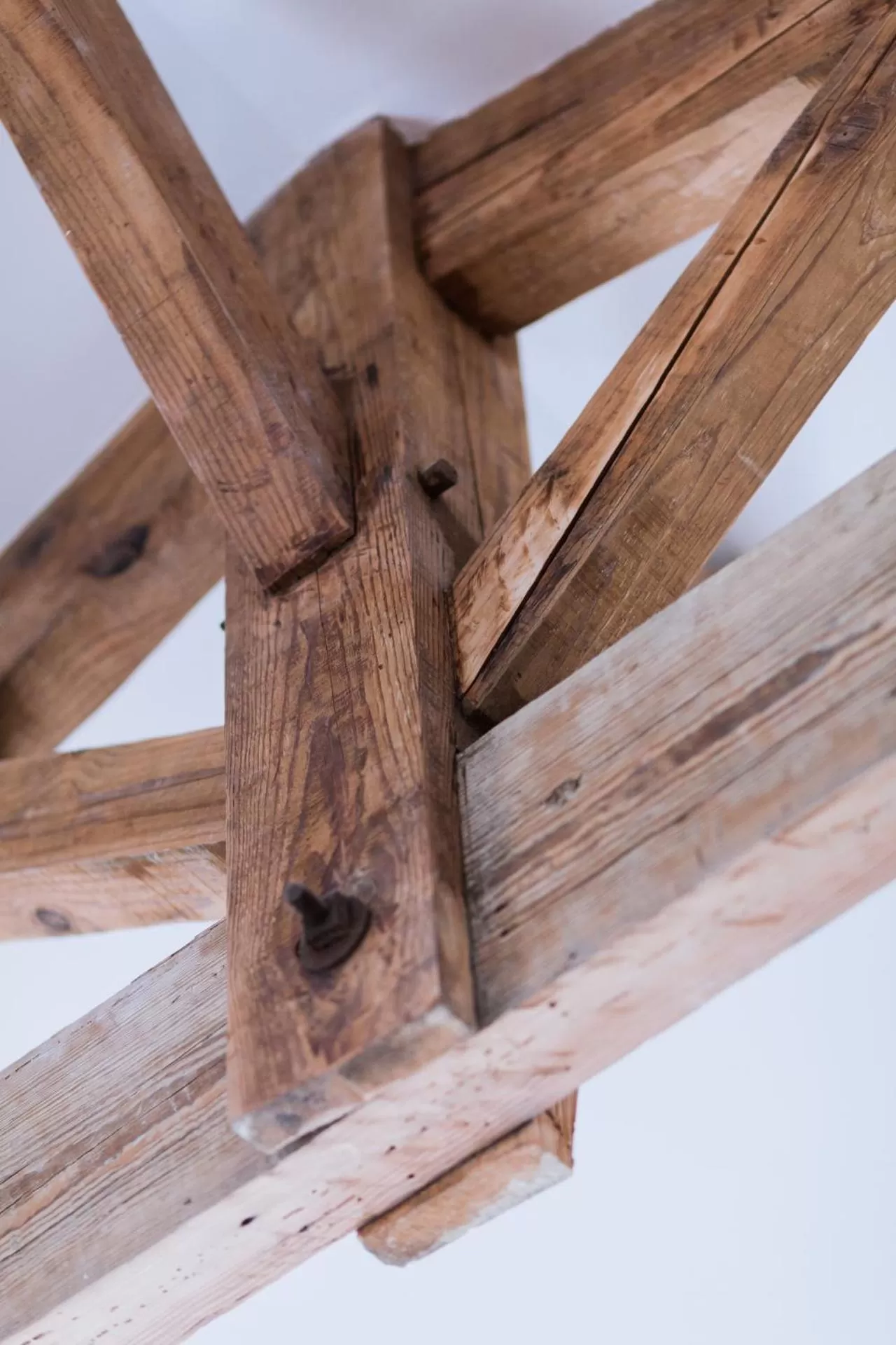 Other Animals in LOFT luxe hyper centre: terrasse/piscine/ salle de sport