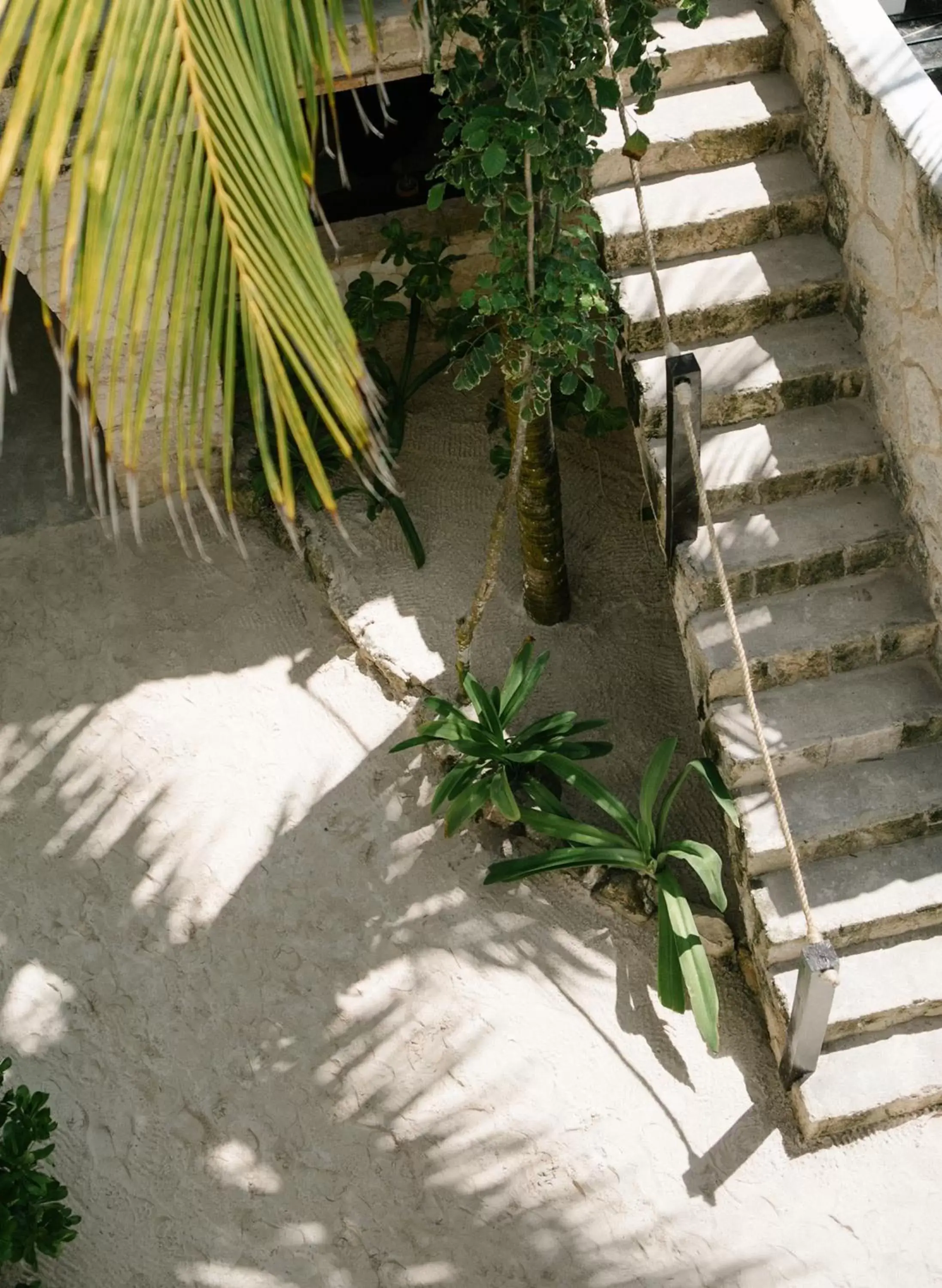 Decorative detail in NEST Tulum