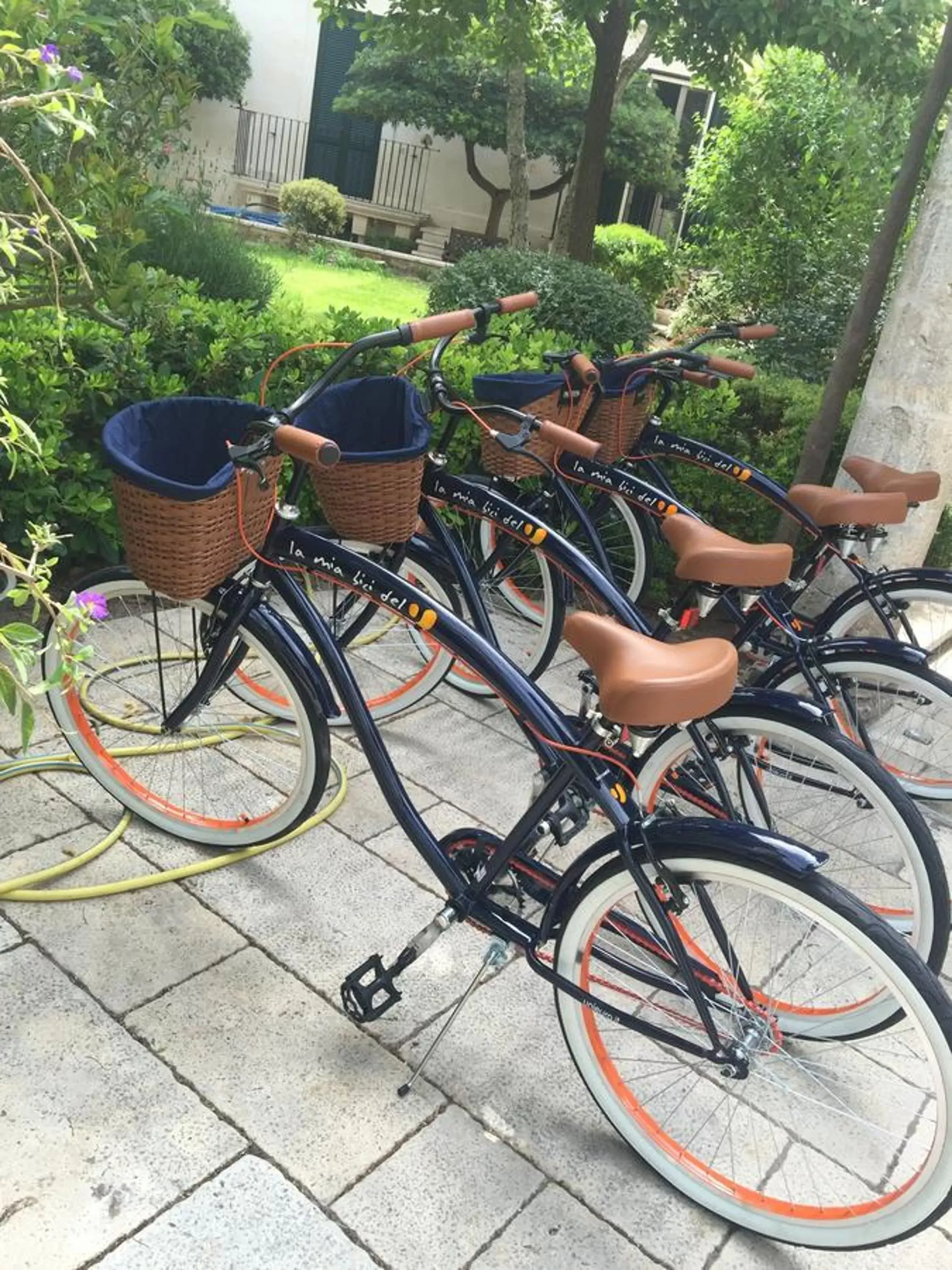 Cycling, Biking in Sine Tempore B&B