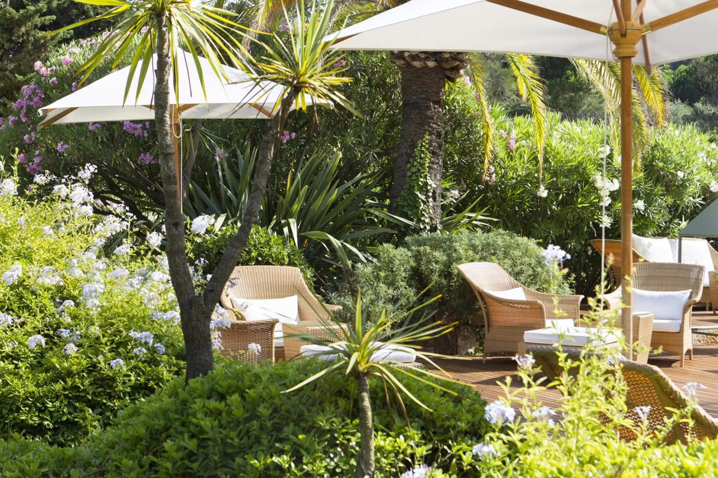 Patio, Garden in Hotel Royal-Riviera