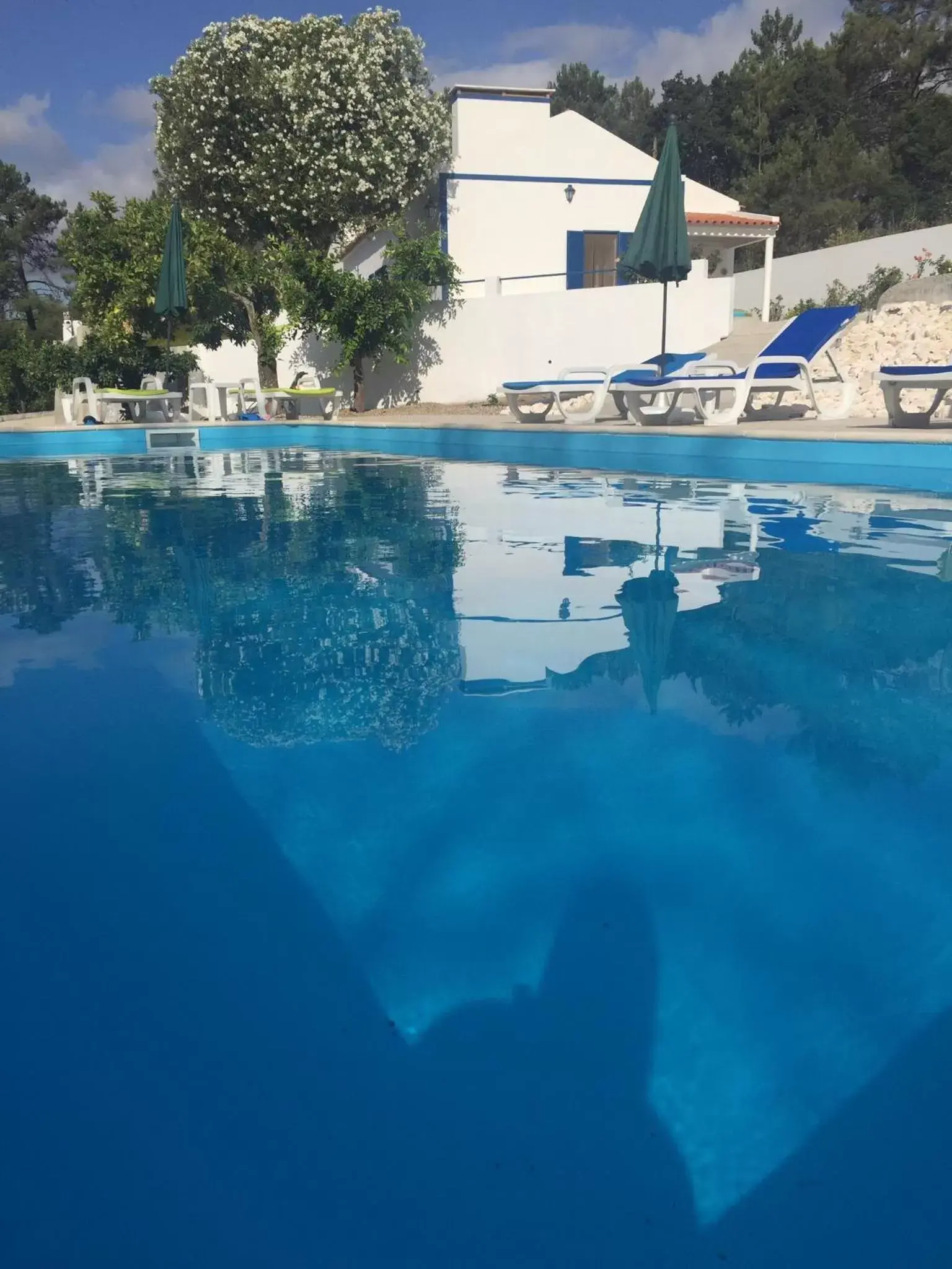 Pool view, Swimming Pool in Casa do Loureiro Branco