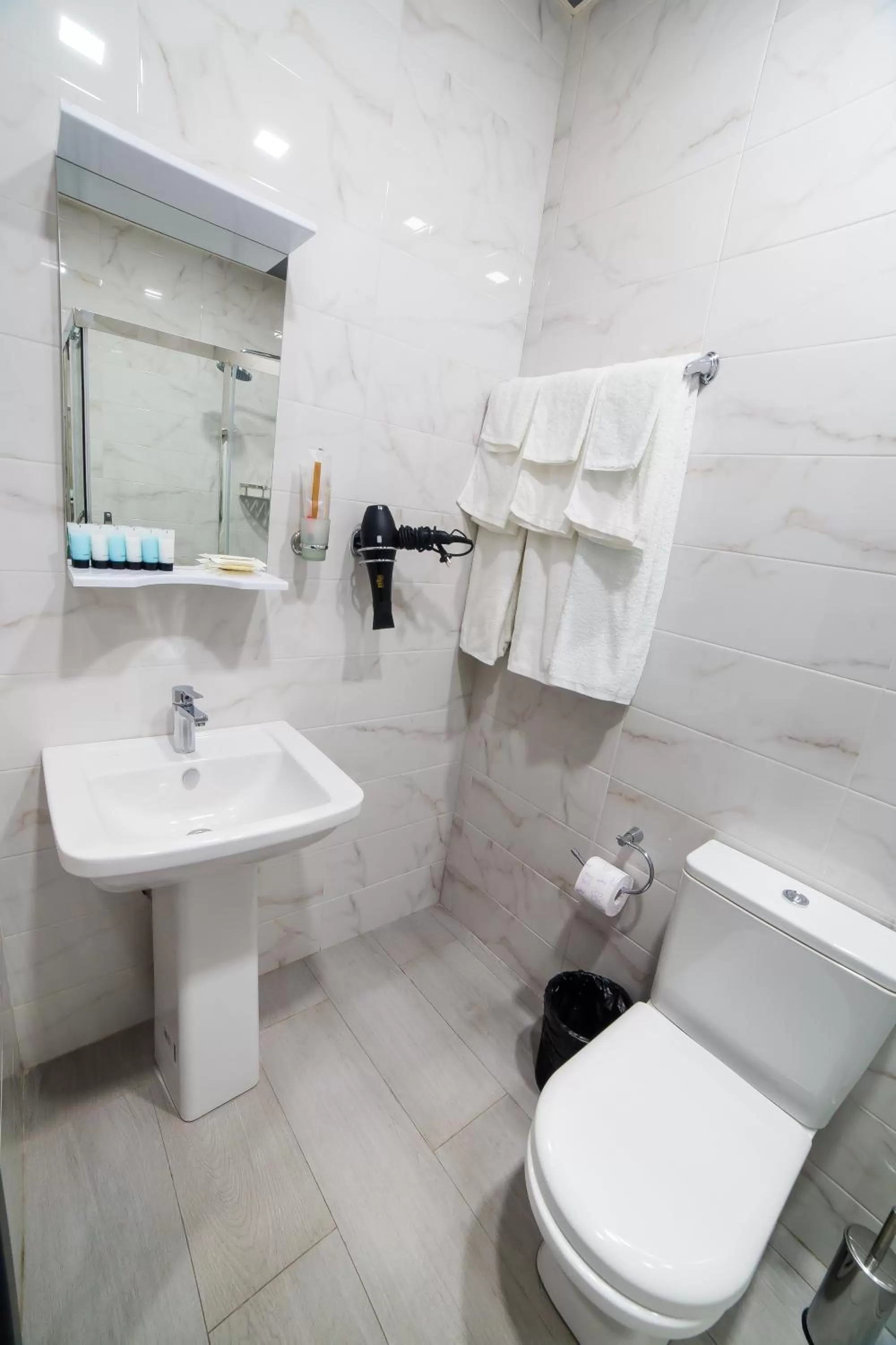 Toilet in Golden Hotel