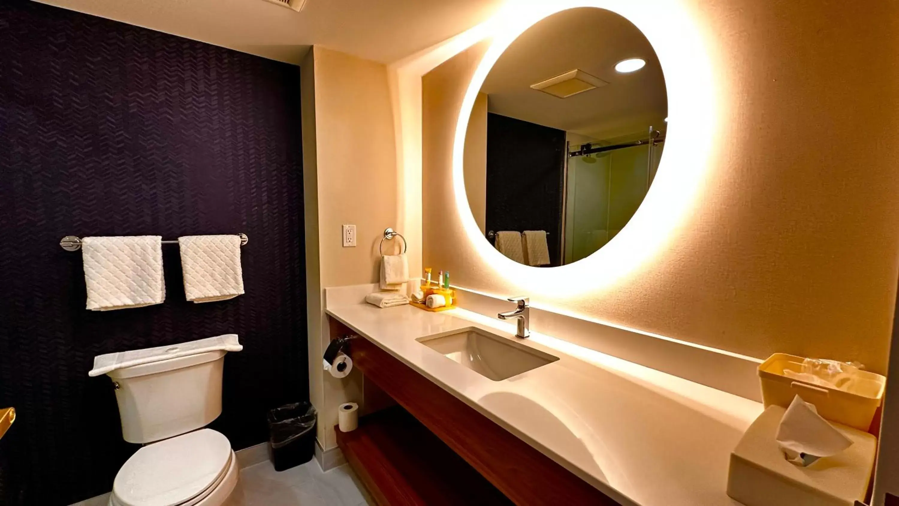 Toilet, Bathroom in Newmarket Hotel and Suites