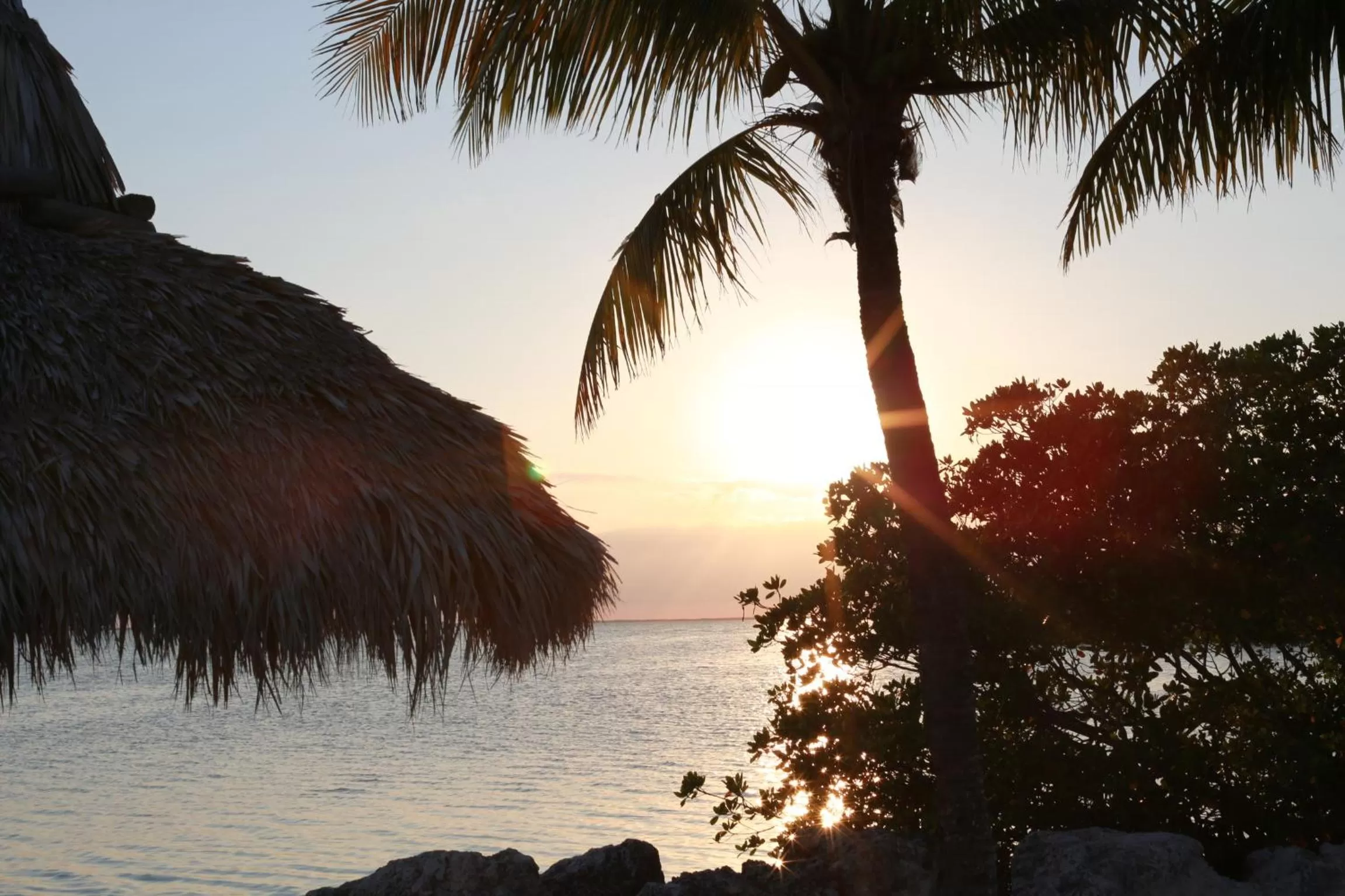 Natural landscape in Gilbert's Resort