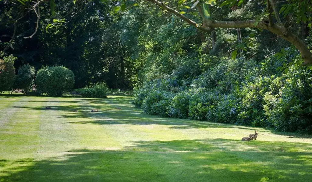 Facade/entrance, Garden in Claverton Hotel