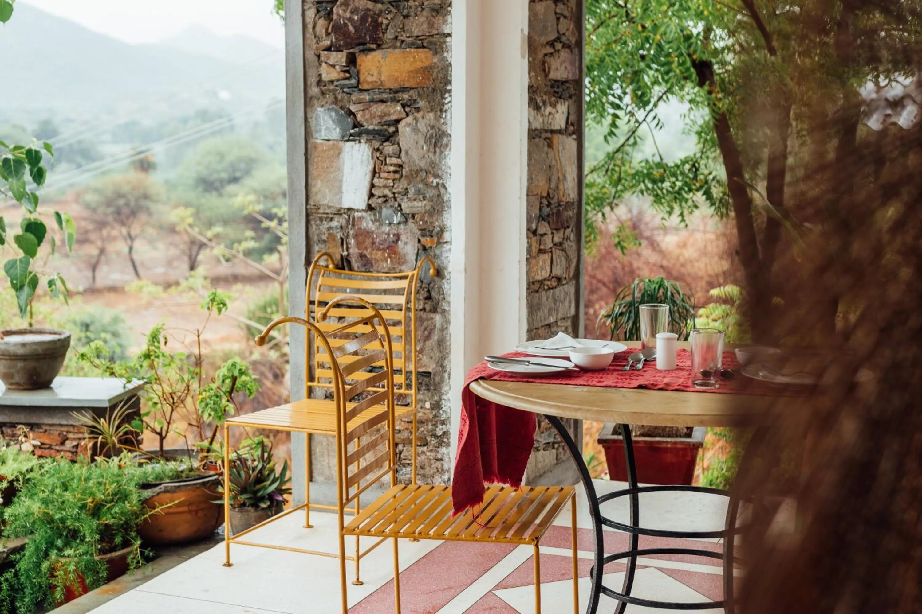 Food close-up in Devra Udaipur