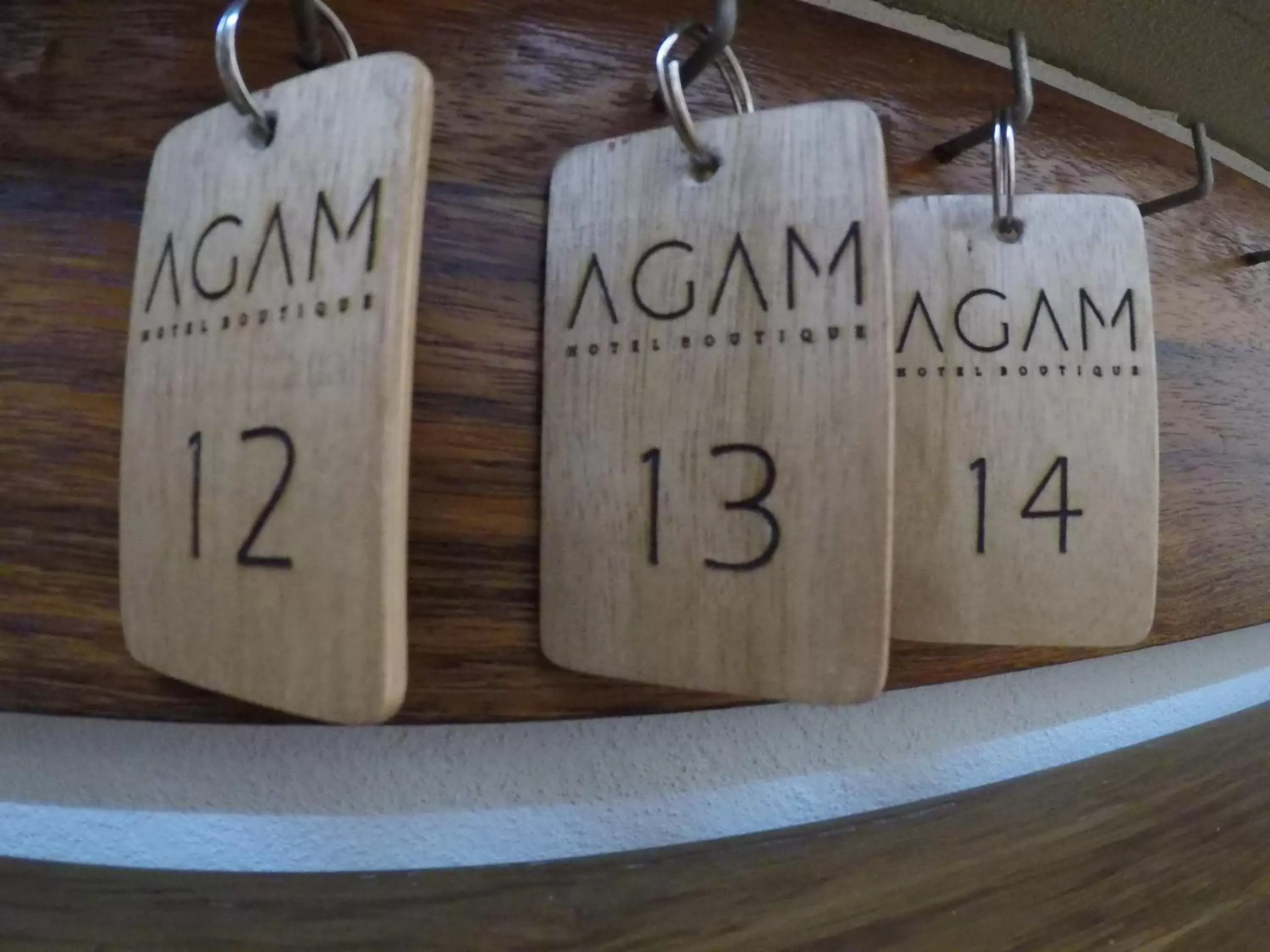 Other, Property Logo/Sign in Agam Hotel