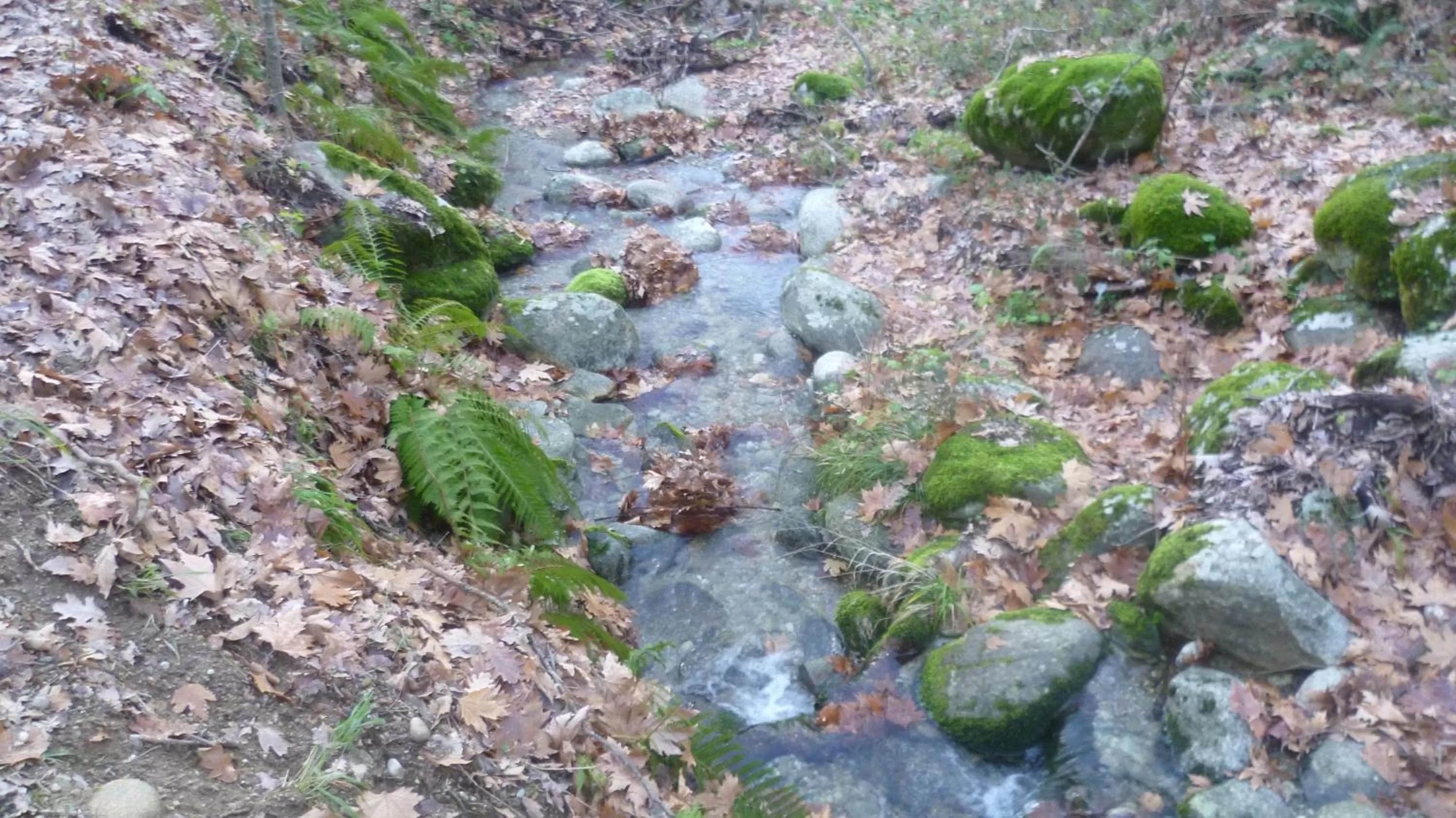 Nearby landmark in Hotel Meteoritis