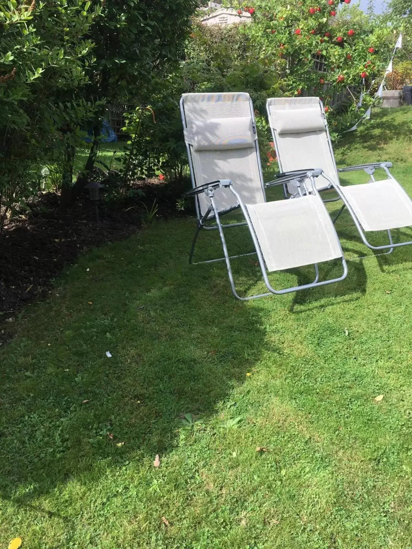 Garden in Copper Beech House