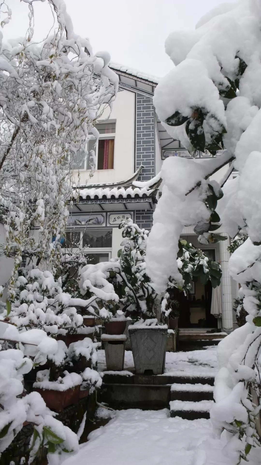 Winter in The Lily Pad Inn