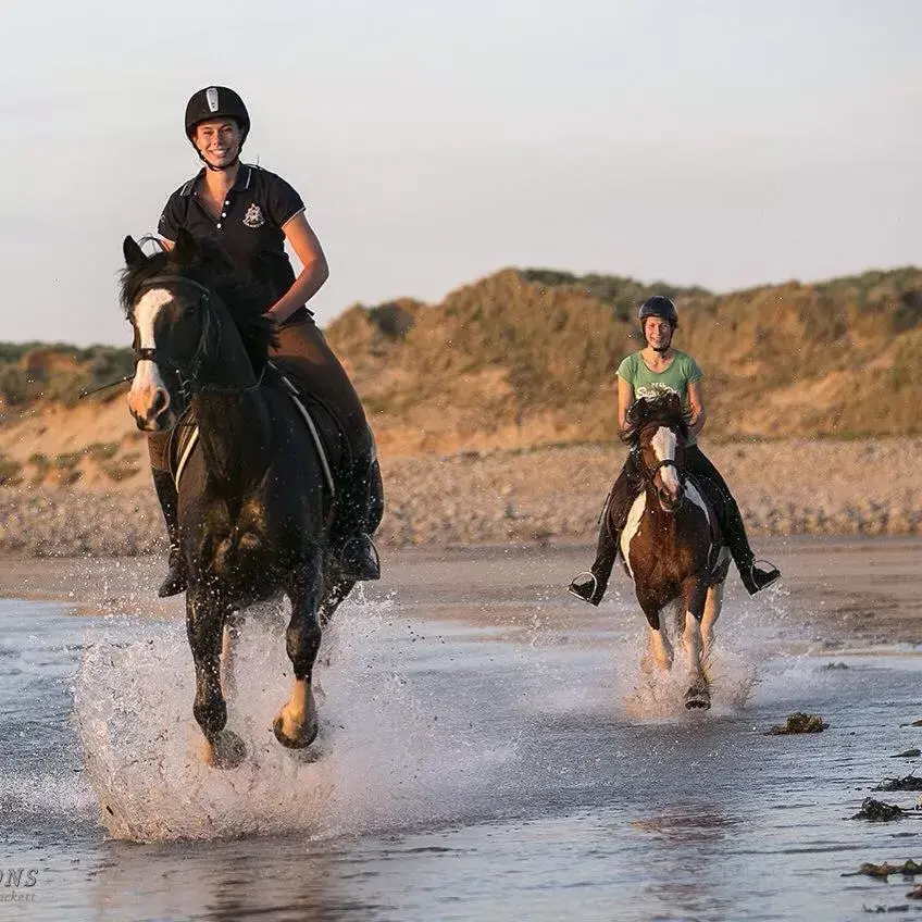 Horse-riding, Horseback Riding in Strandhill Lodge and Suites