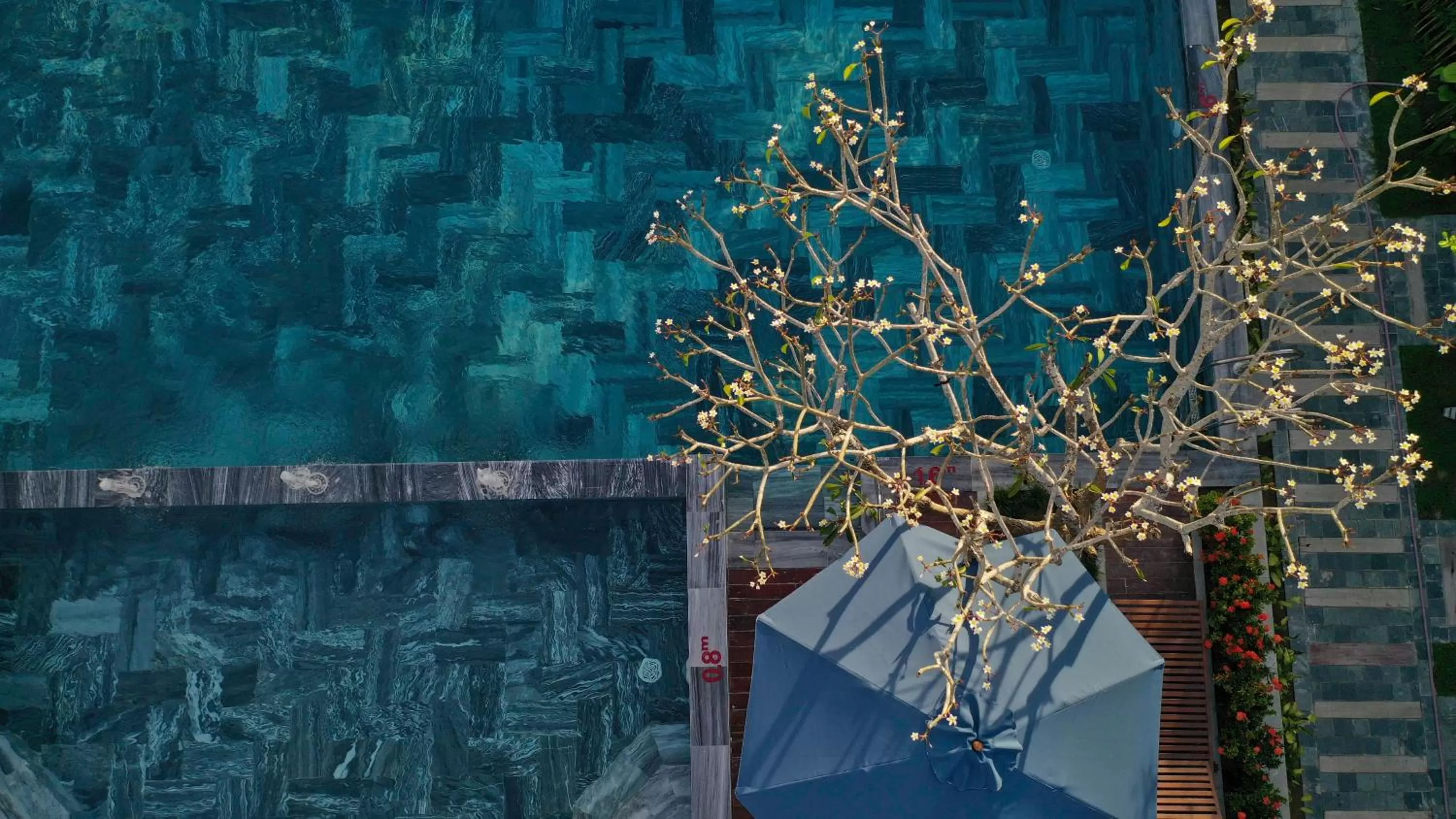 Natural landscape in Zest Resort & Spa Hoi An