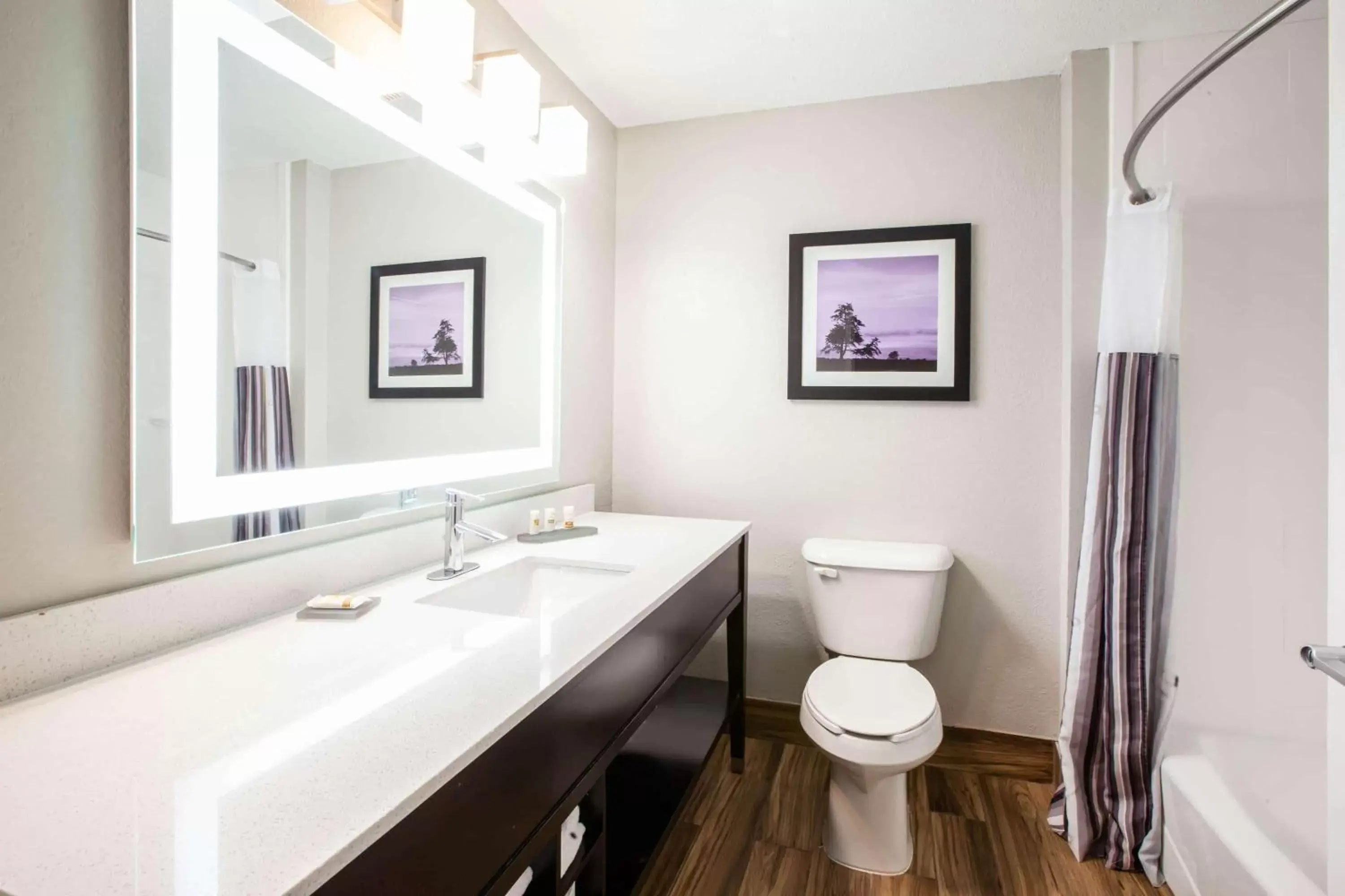 Bathroom in La Quinta Inn and Suites by Wyndham Elkhart