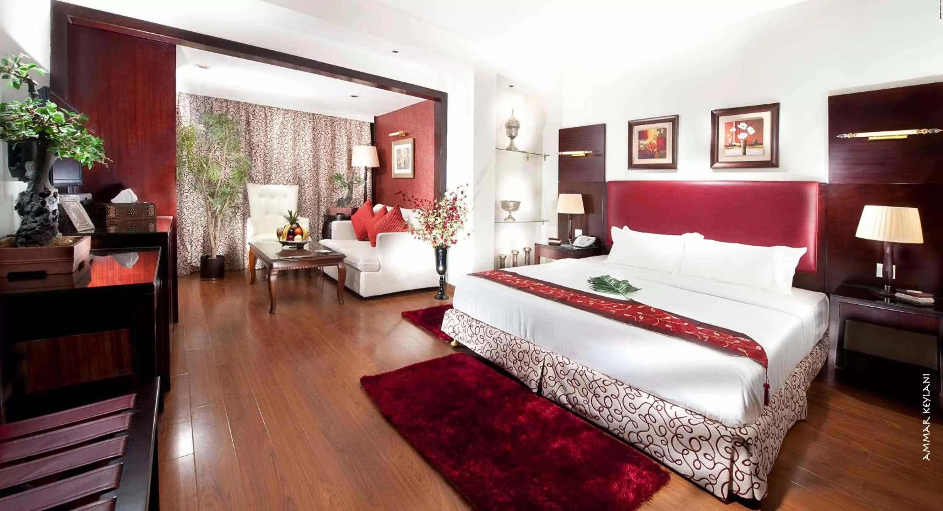 Junior Suite - single occupancy in Golden Park Hotel Cairo, Heliopolis