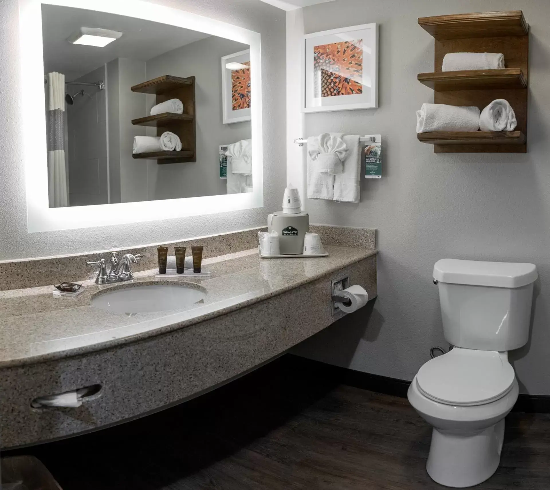 Bathroom in Wingate by Wyndham - DFW North