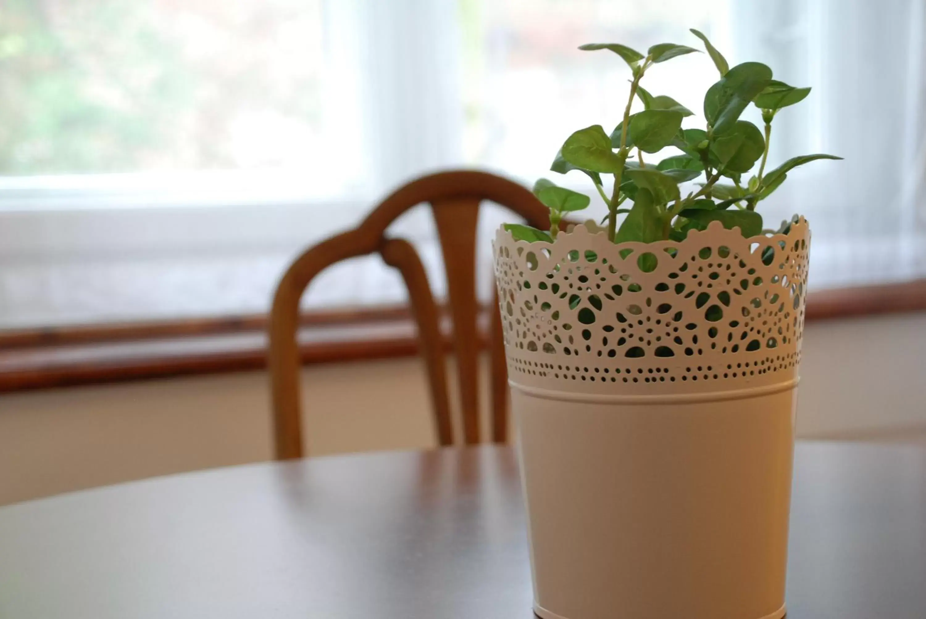 Decorative detail in The Bed + Breakfast