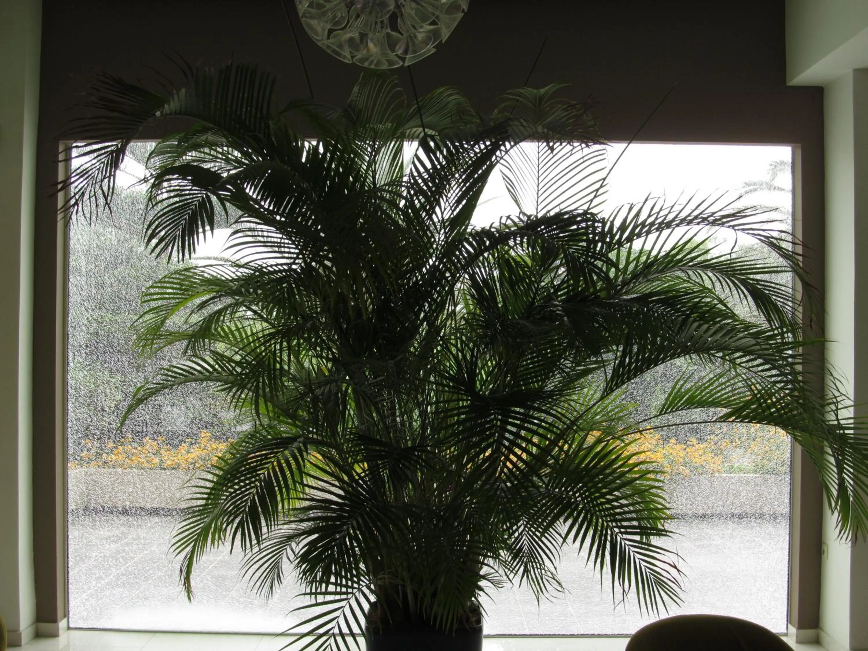 Decorative detail in Cathrin Hotel