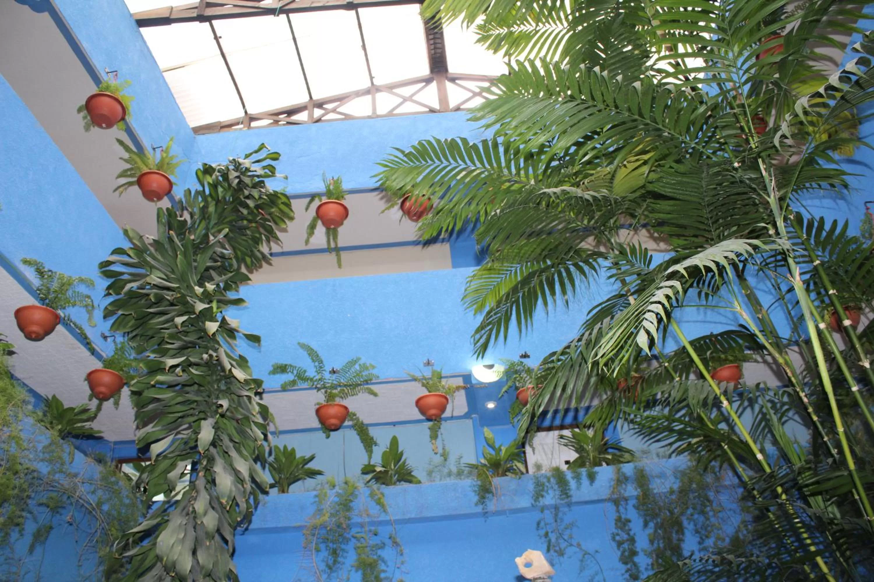 Property building, Swimming Pool in hotel kasa kamelot 2