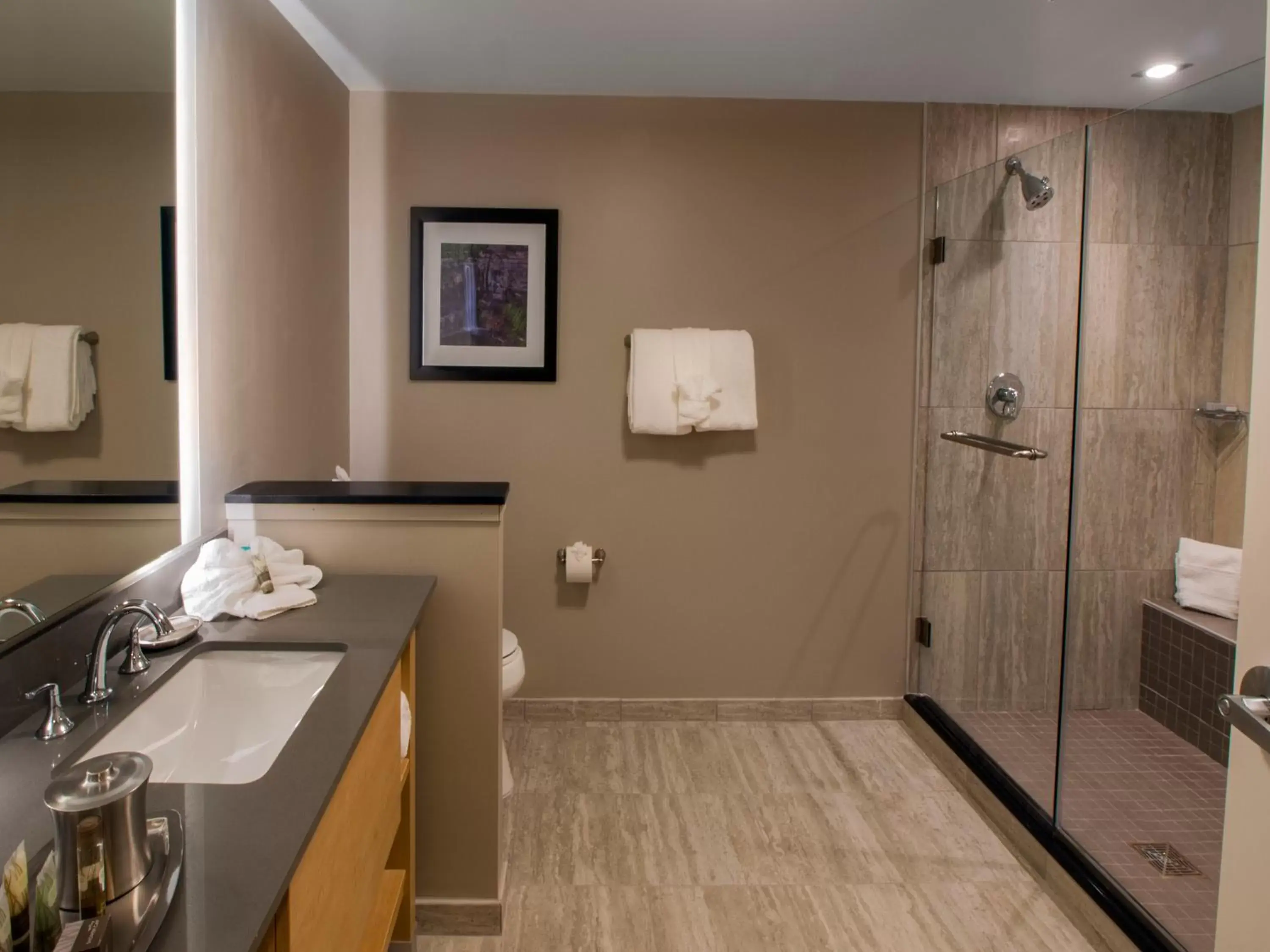 Bathroom in Hotel Ithaca