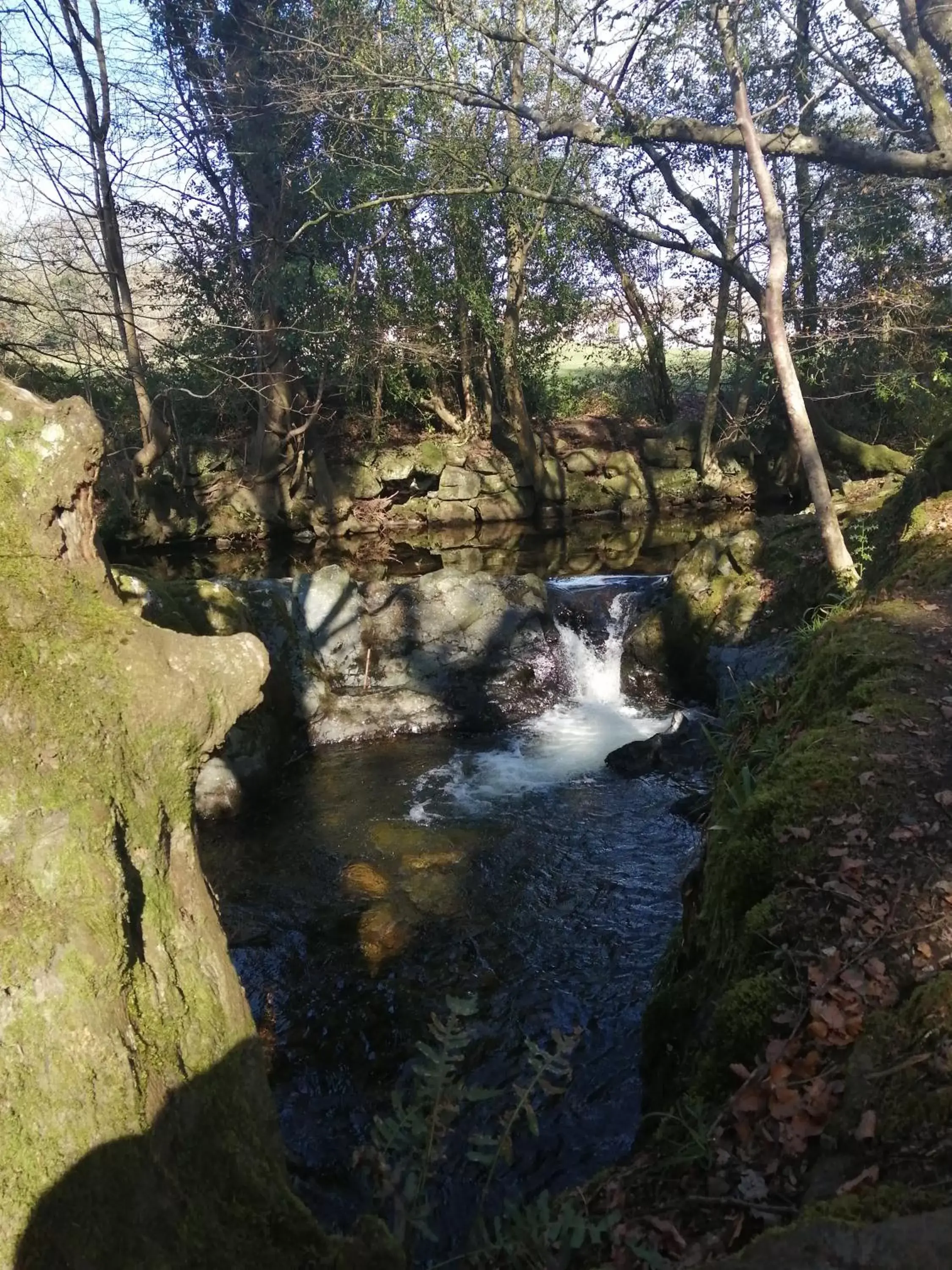 Garden in The Oystercatcher