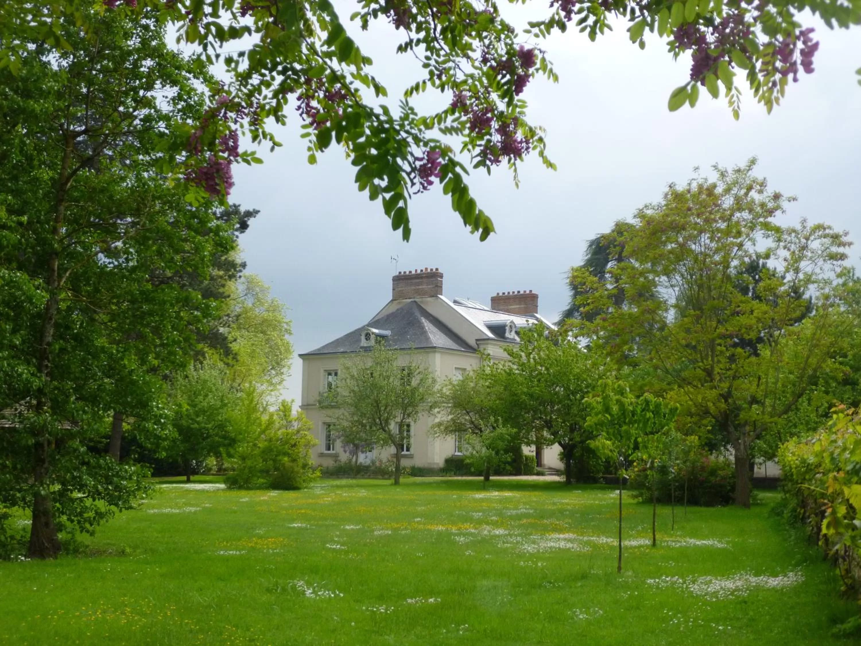 Garden in Cèdre et Charme