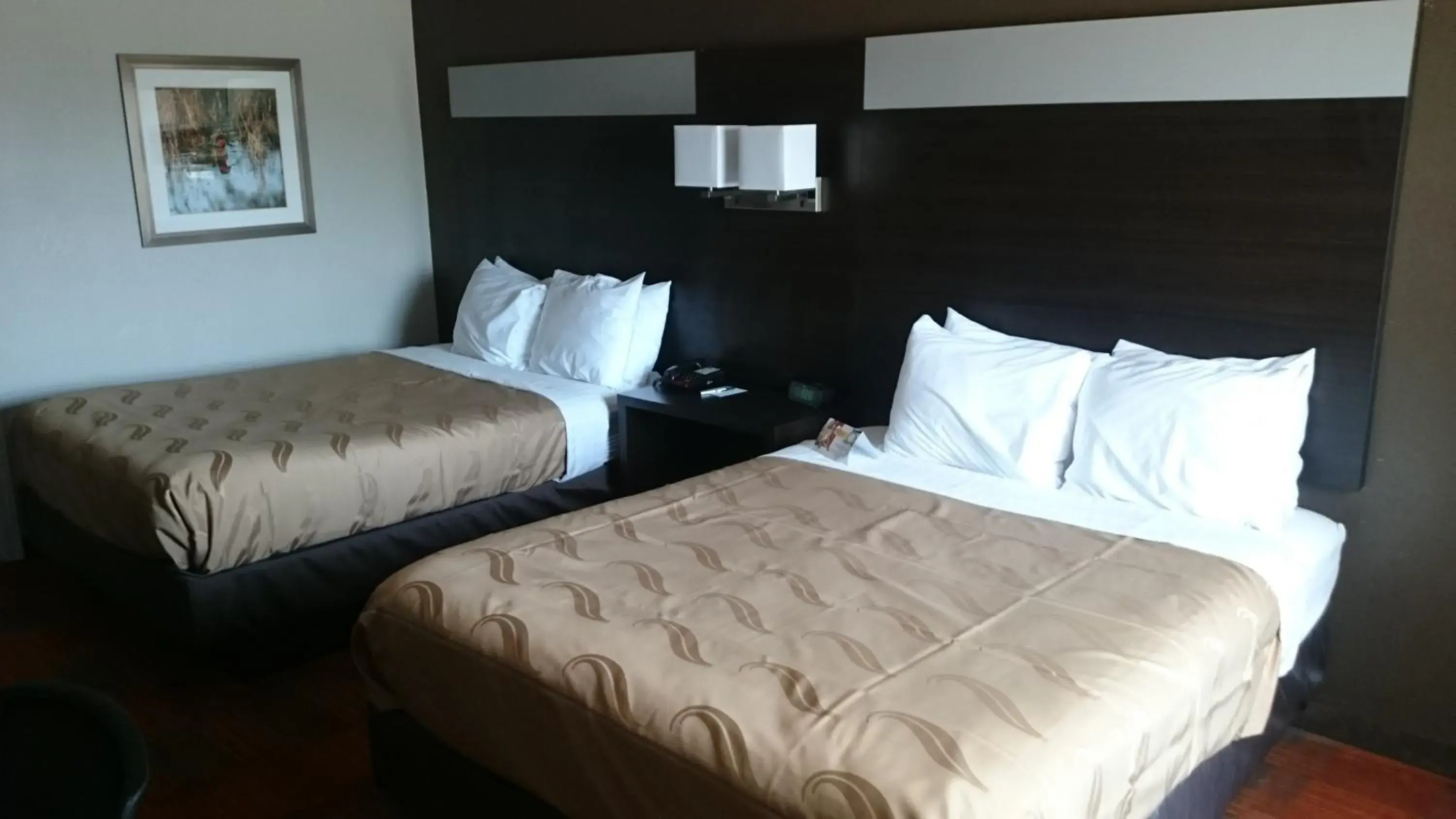 Queen Room with Two Queen Beds - Non-Smoking in Quality Inn & Suites Stuttgart North