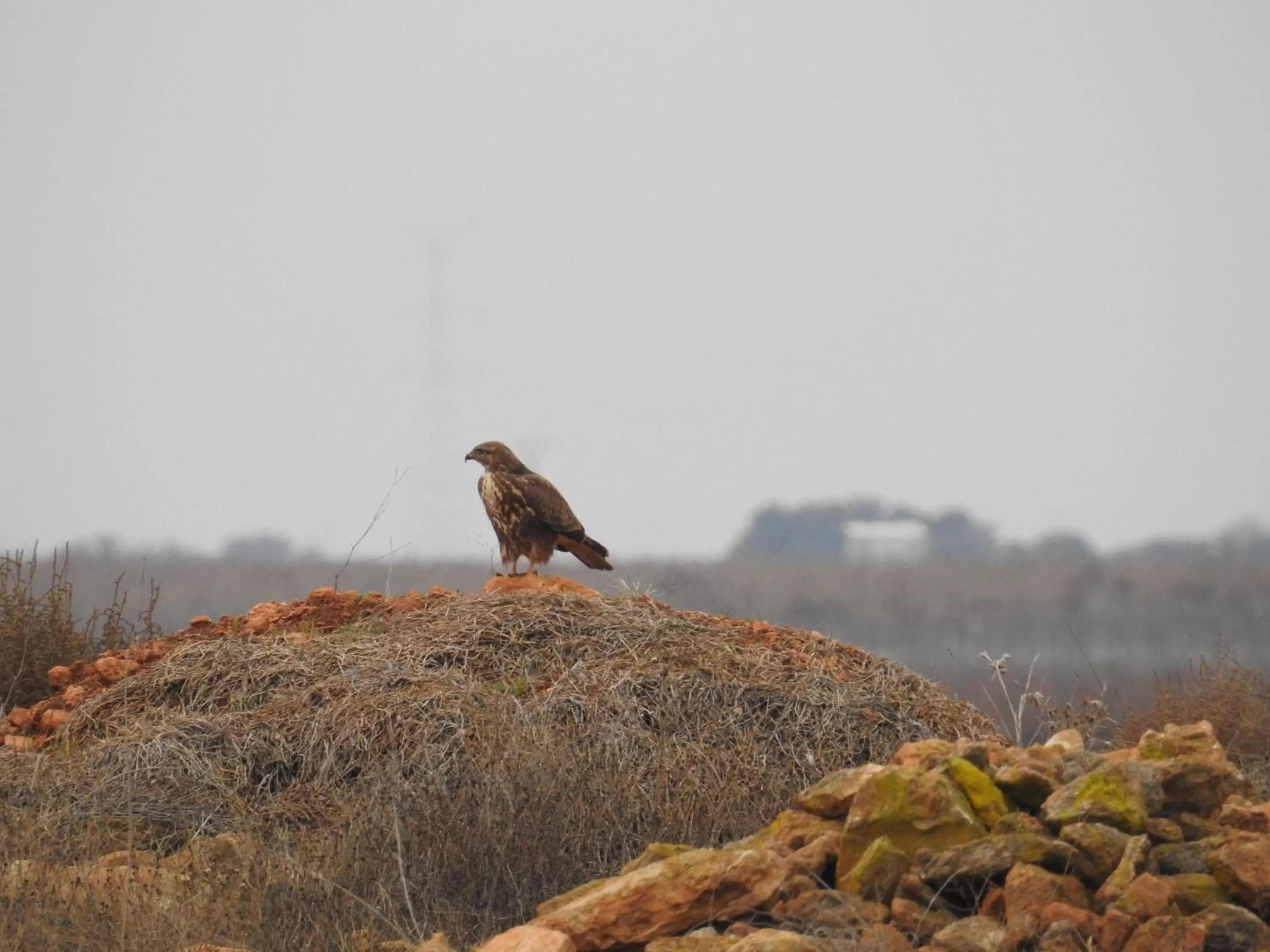 Activities in Finca El Romeral