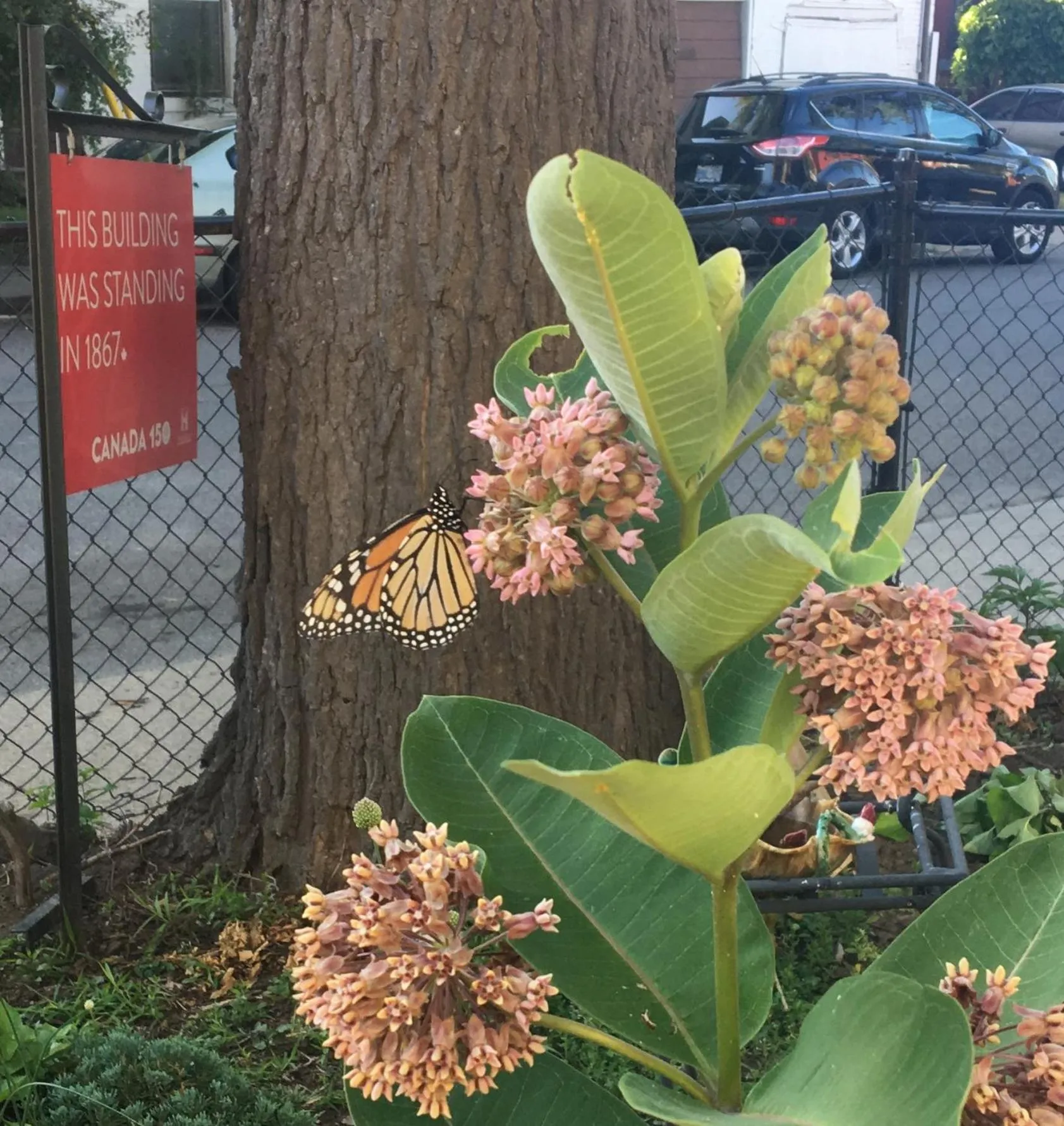 Property logo or sign in Pring Guesthouse