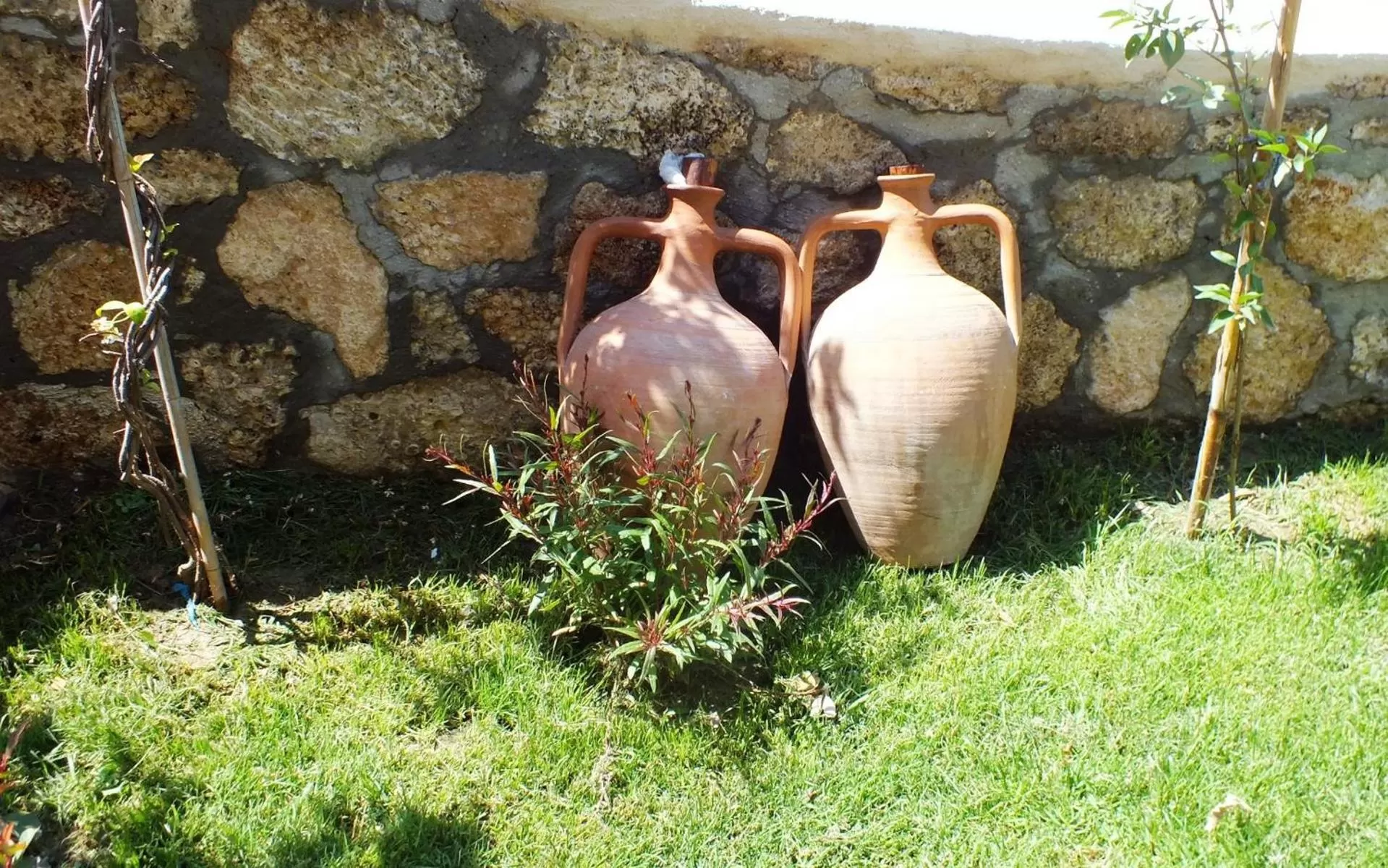 Natural landscape in Helen Troya Hotel Geyikli
