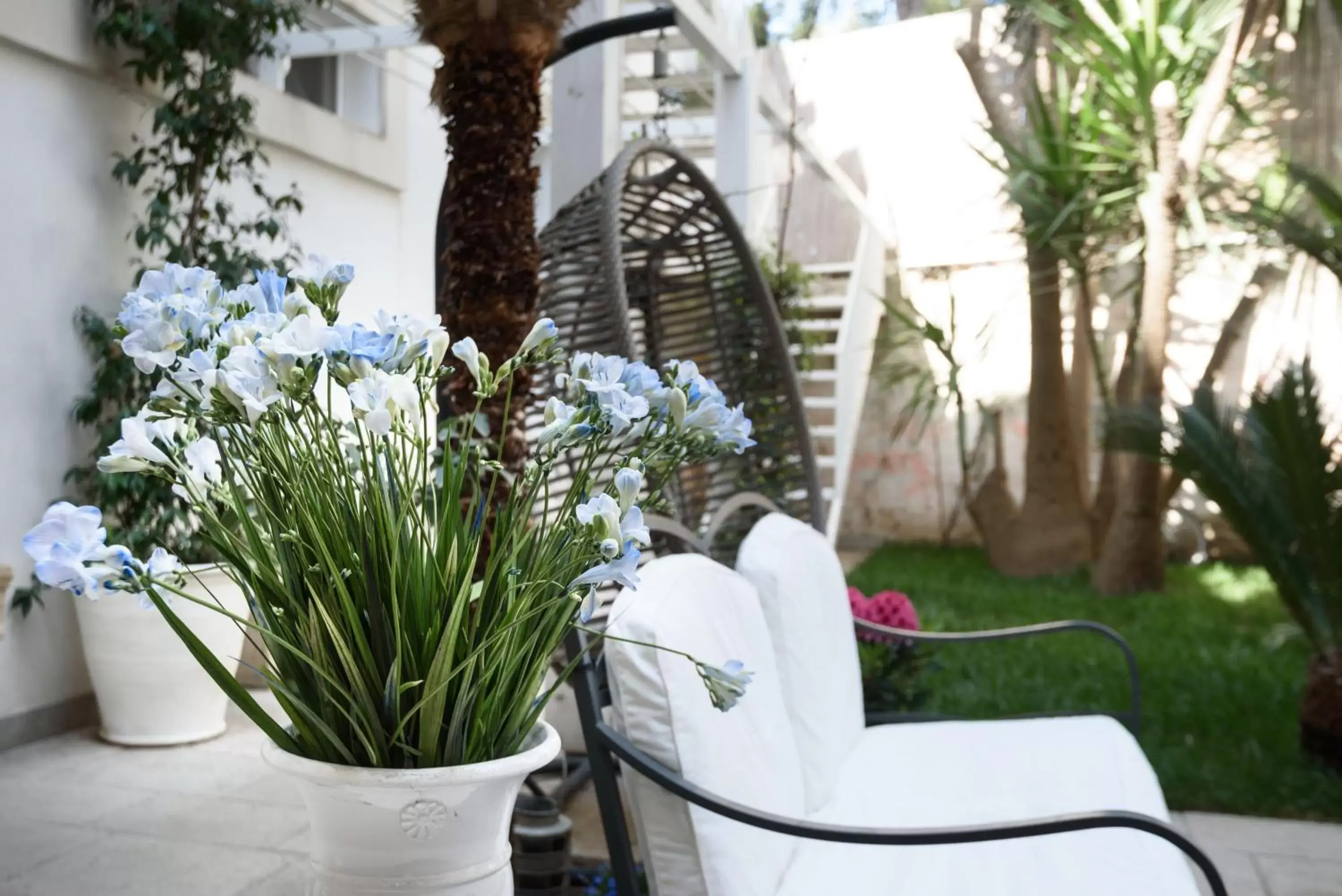 Garden, Patio/Outdoor Area in Palazzo Dei Dondoli