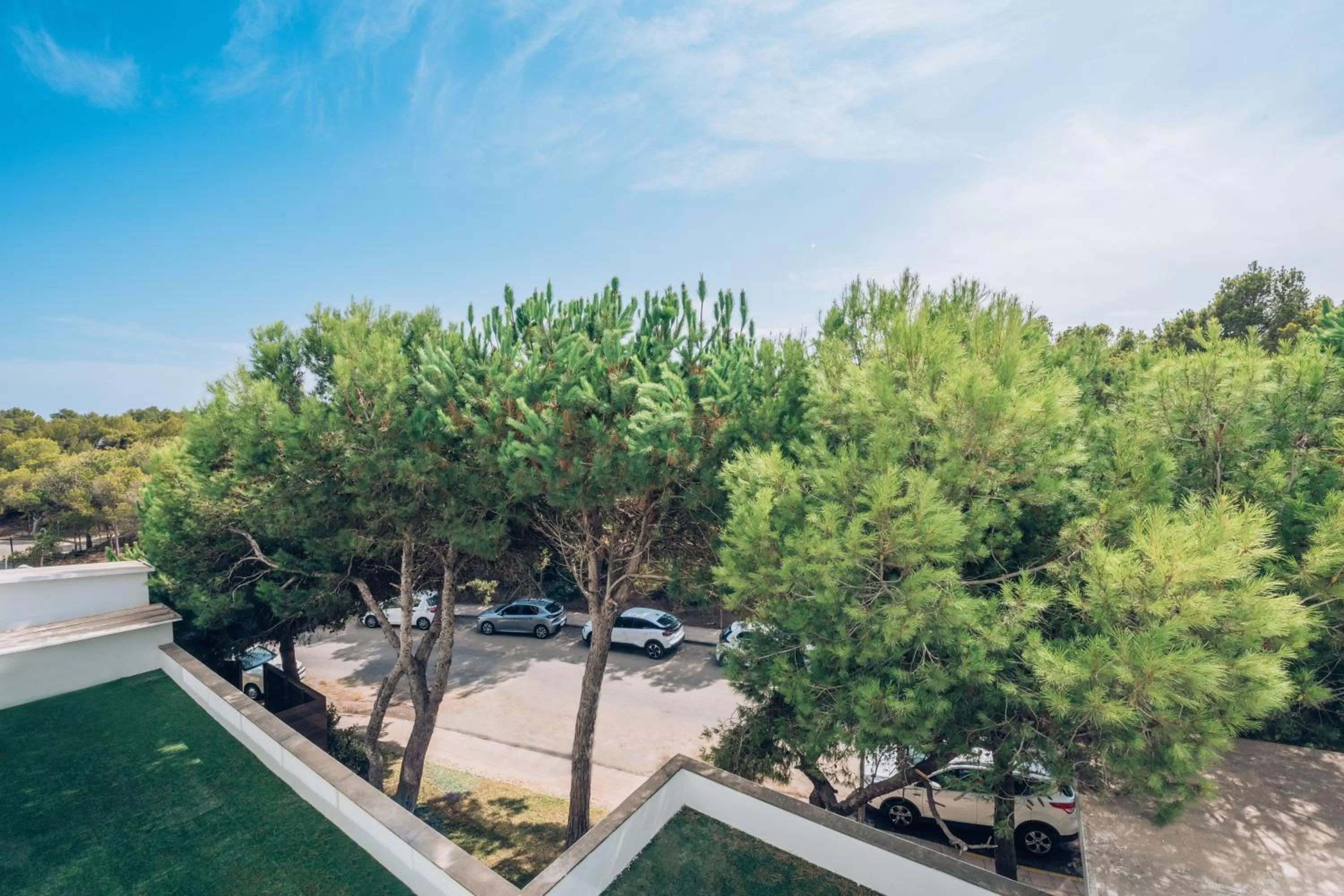 Garden view in Iberostar Waves Cala Millor - Adults Only