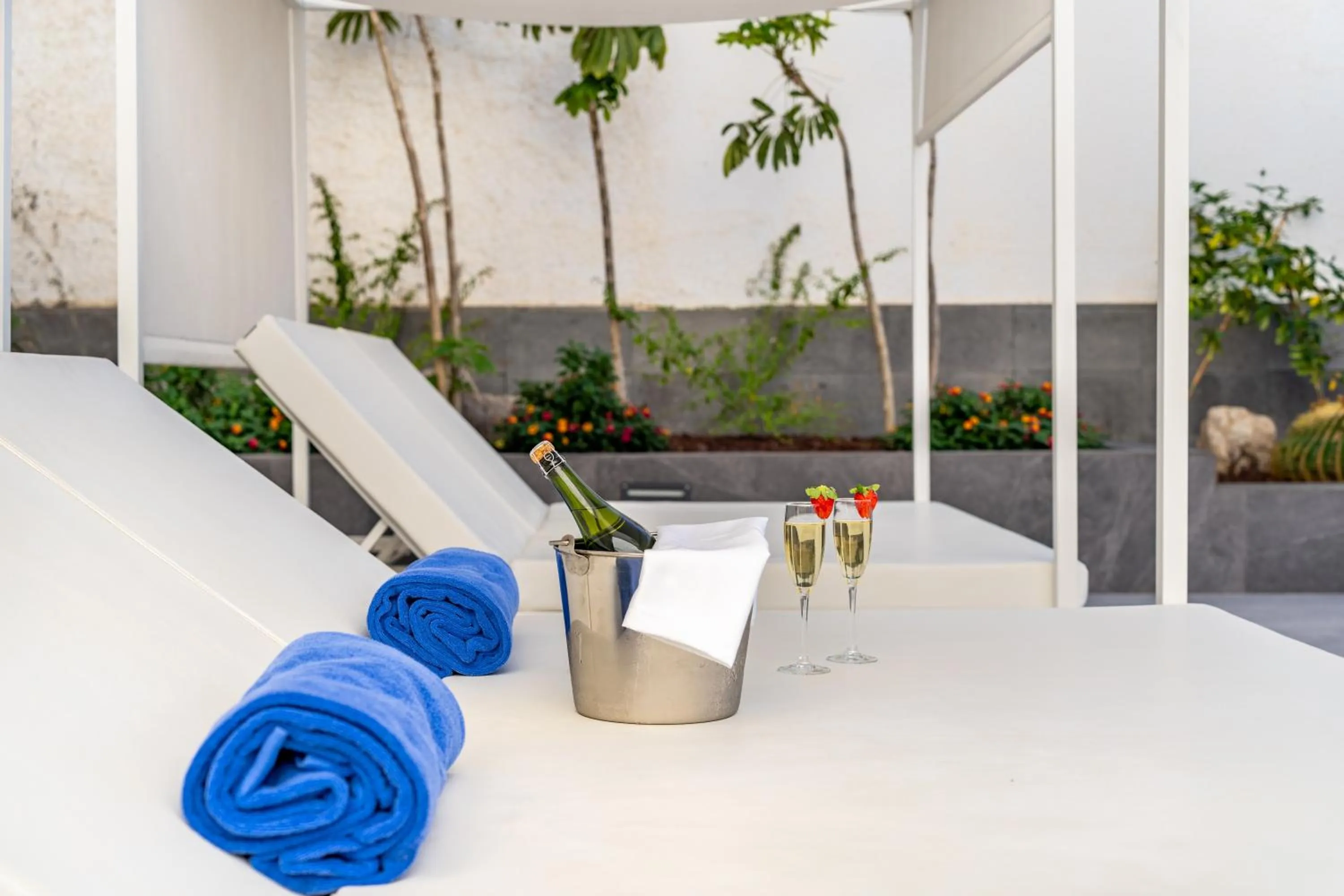 sunbed in Apartamentos Cabau Altair