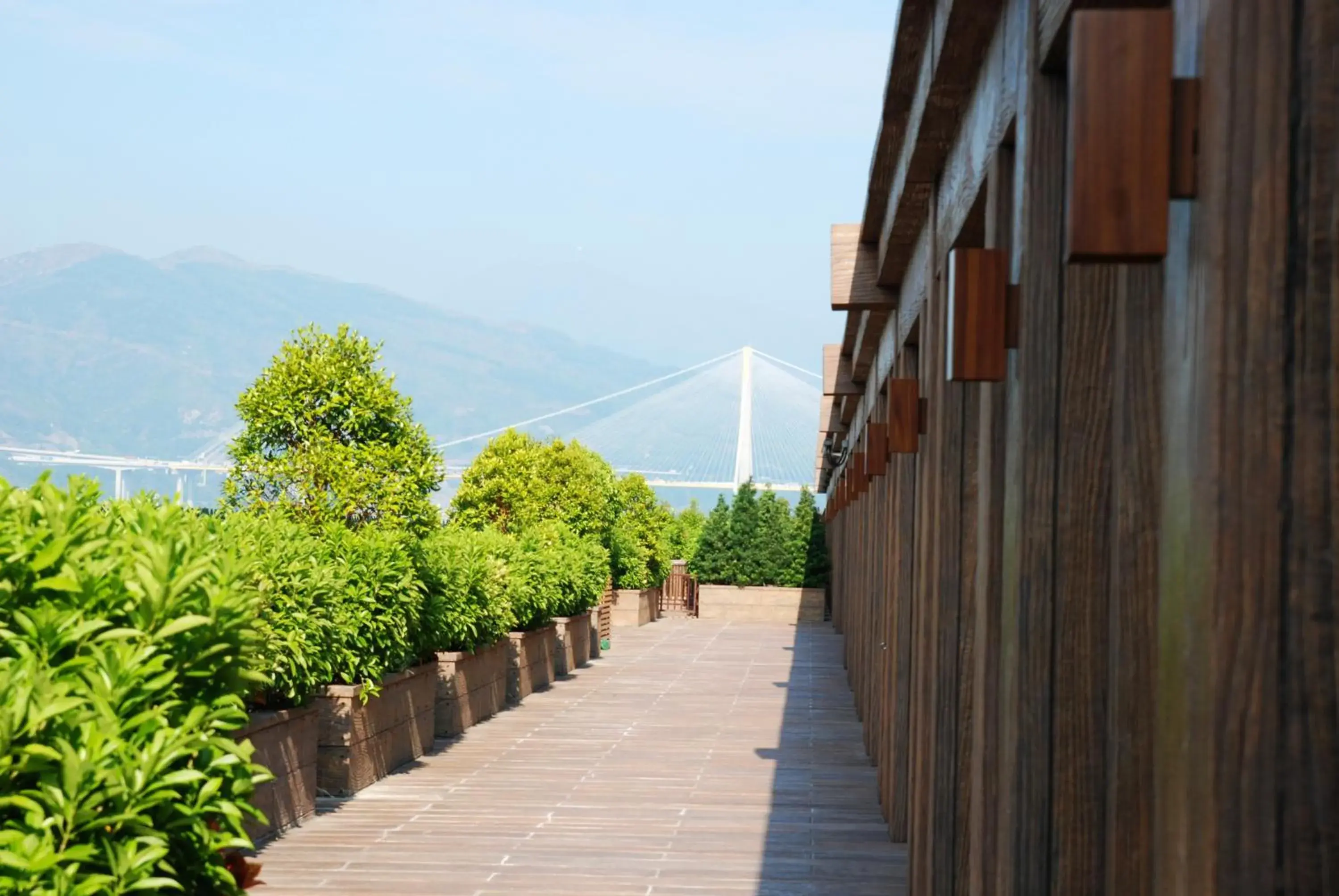 Balcony/Terrace in Noah's Ark Resort