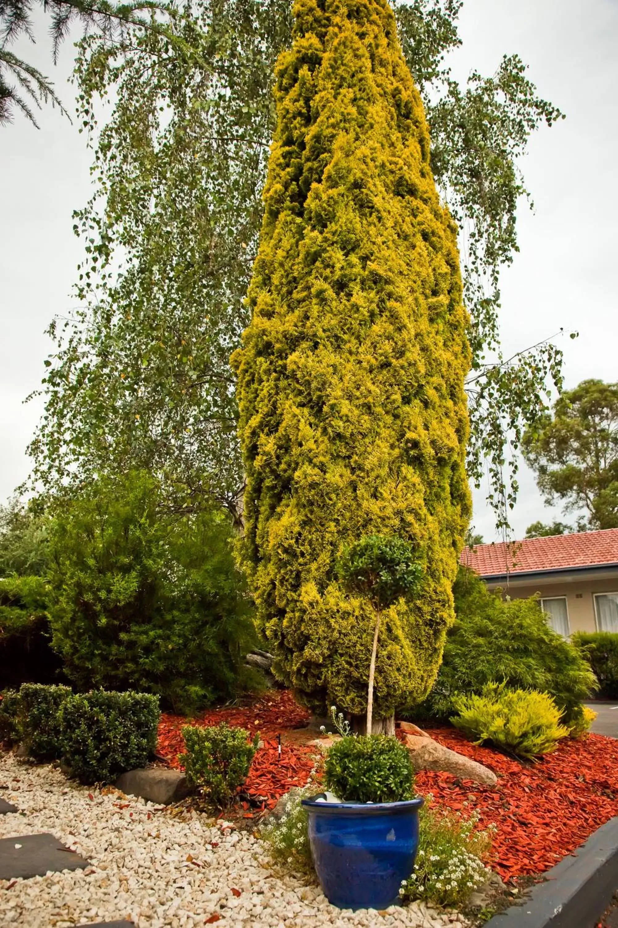 Day, Garden in Abbotsleigh Motor Inn