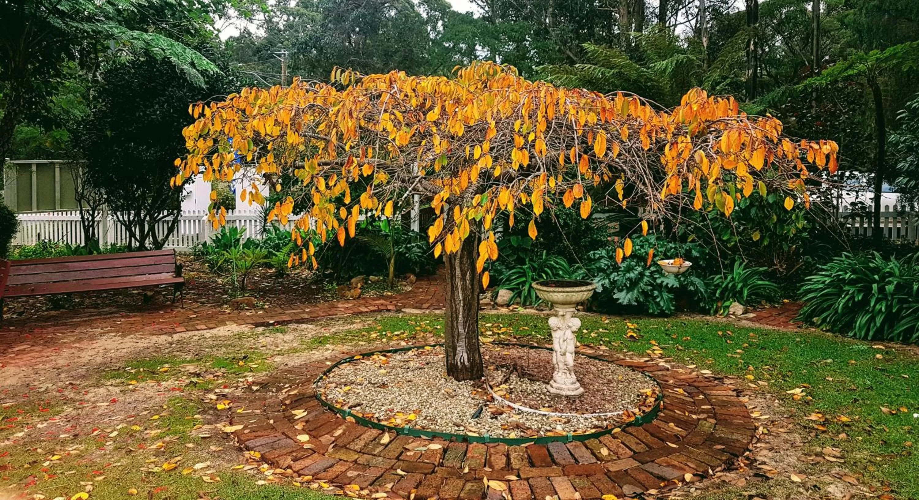 Garden in Adamsons Riverside Accommodation