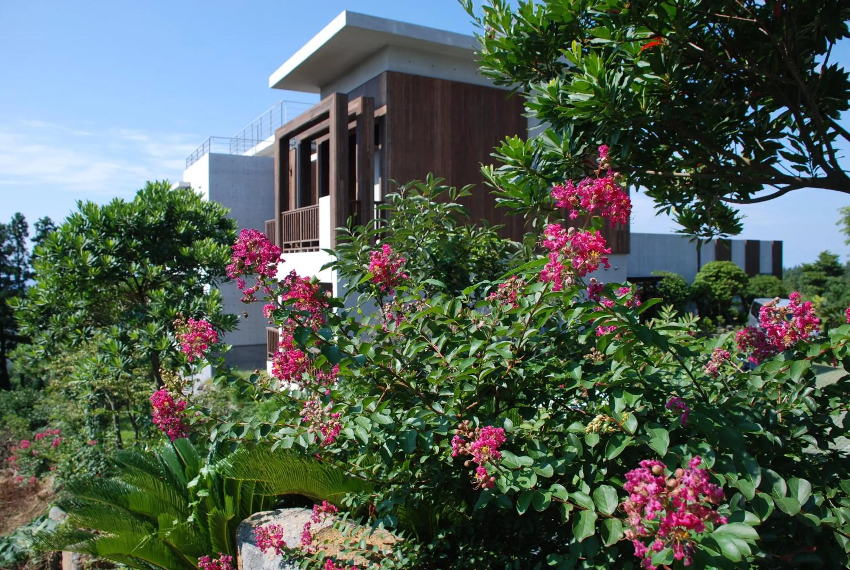 Facade/entrance in Jeju Eco Suites