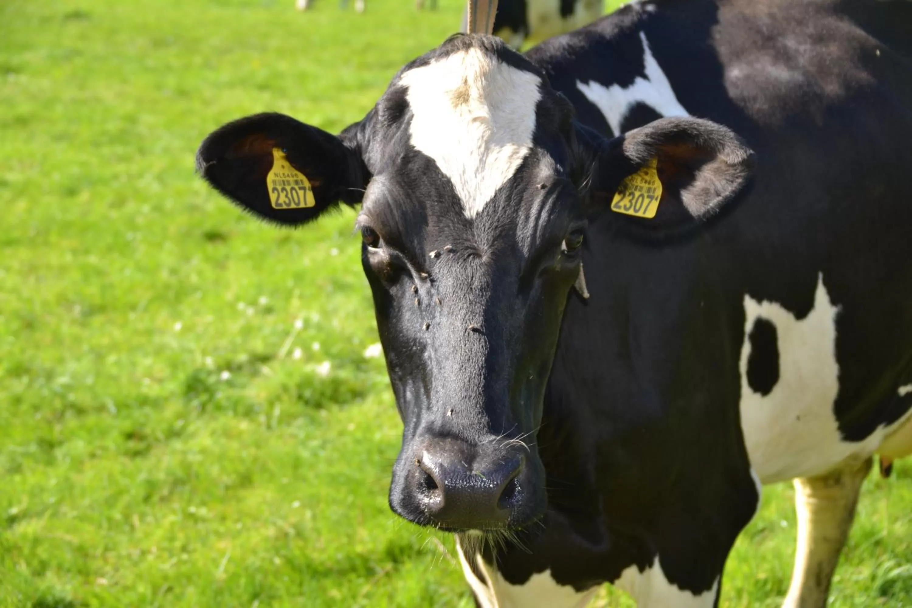 Other in Op de Kuyerlatten