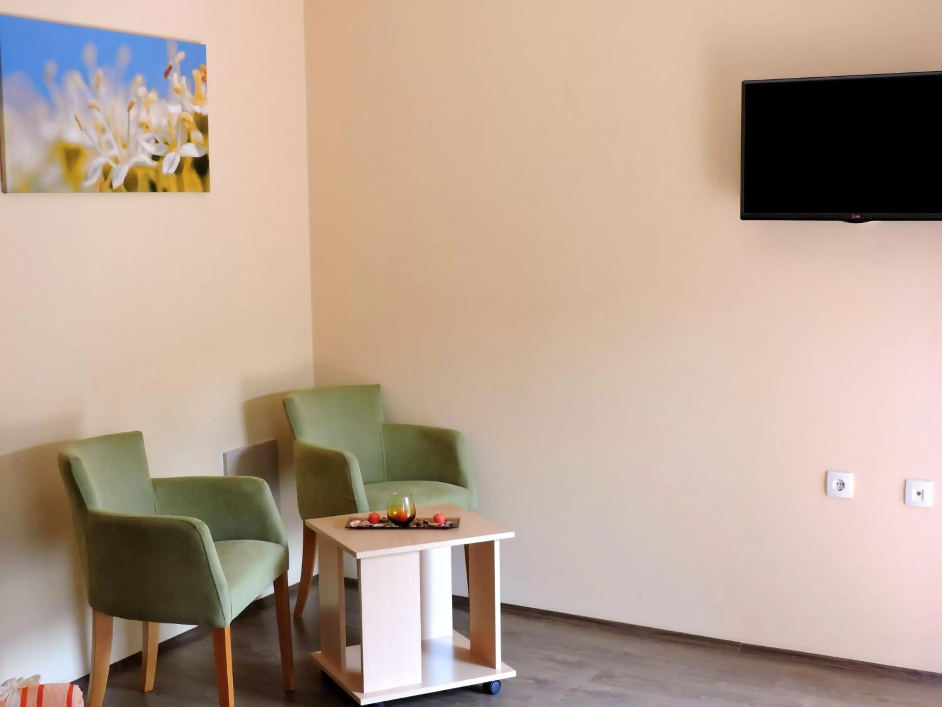 Seating area in B&B Zmajevo Gnezdo 021